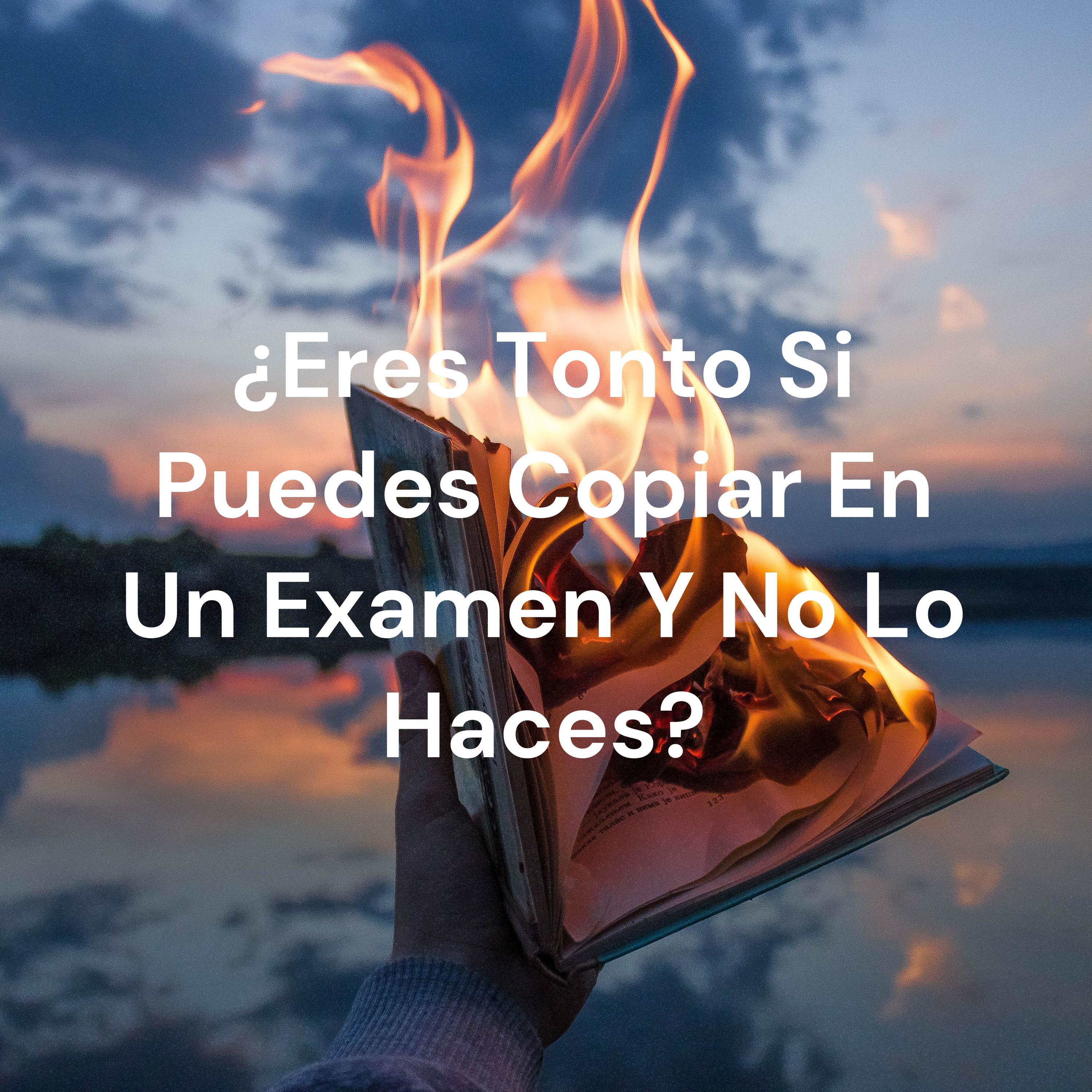 ¿Eres Tonto Si Puedes Copiar En Un Examen Y No Lo Haces? cover art