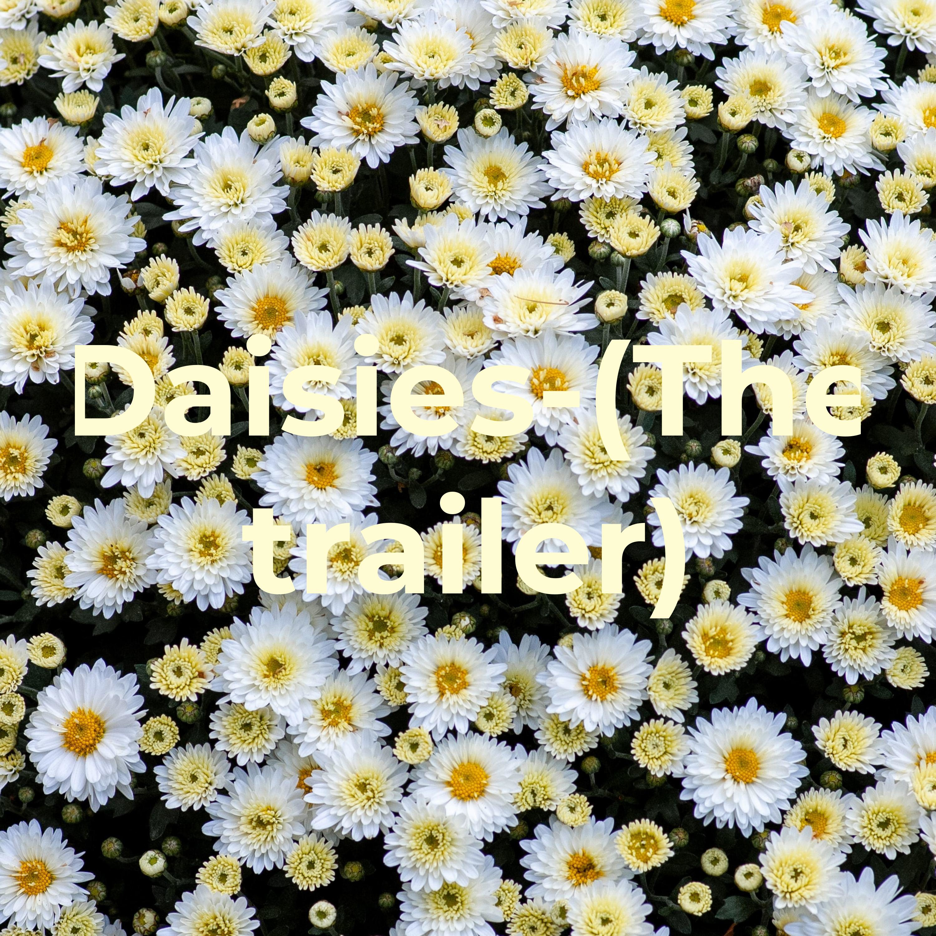 Daisies-(The trailer)