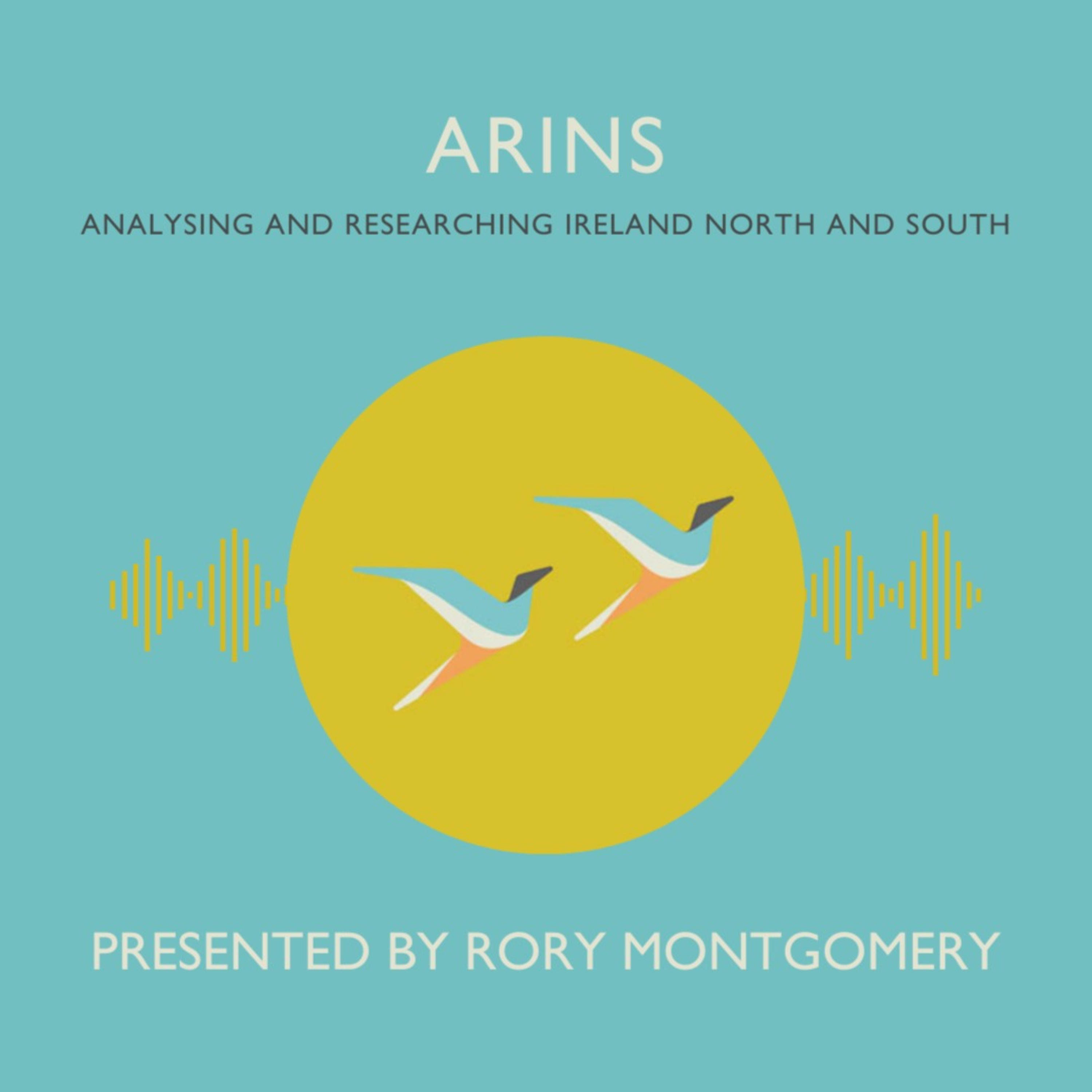 ARINS: Analysing and Researching Ireland North and South