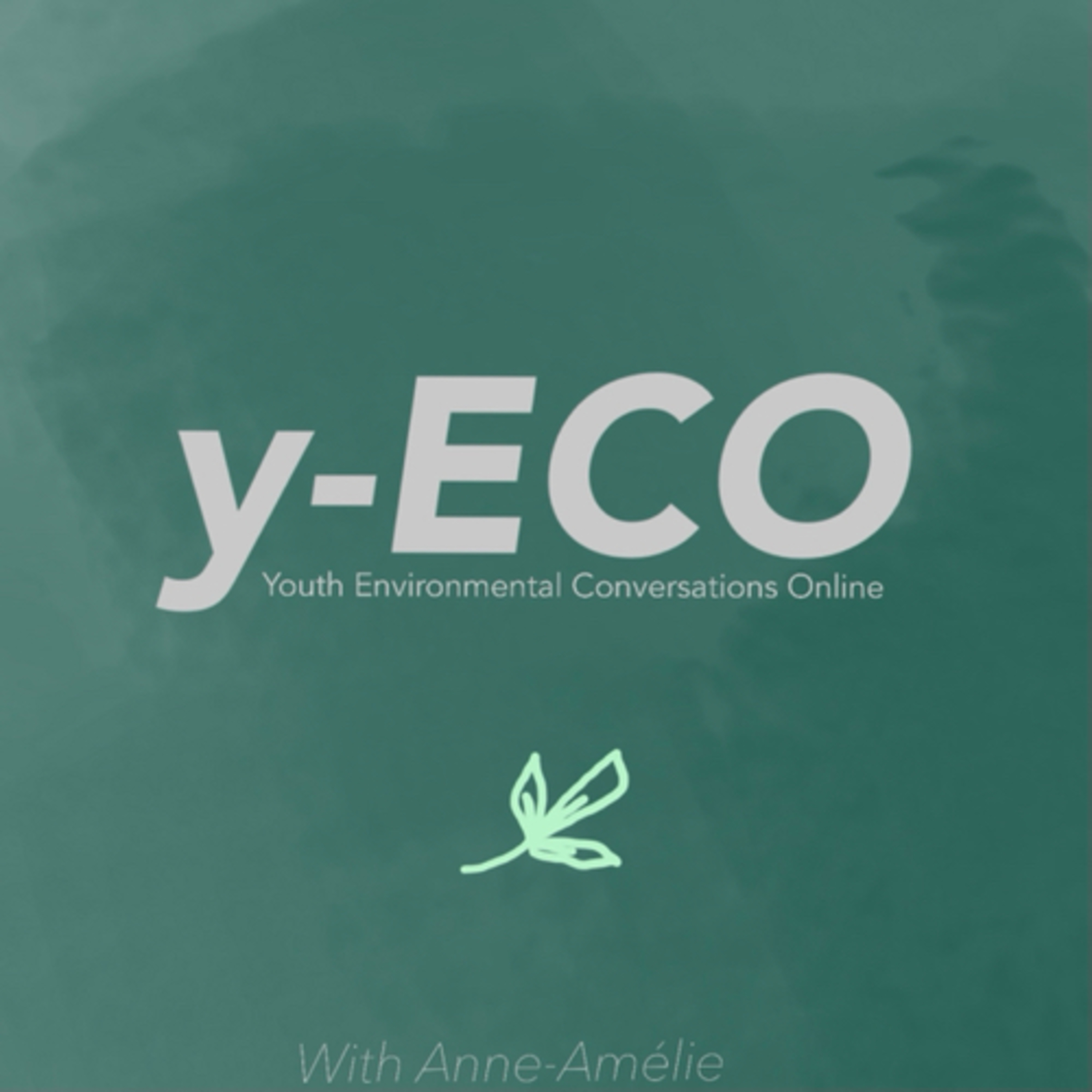 y-ECO