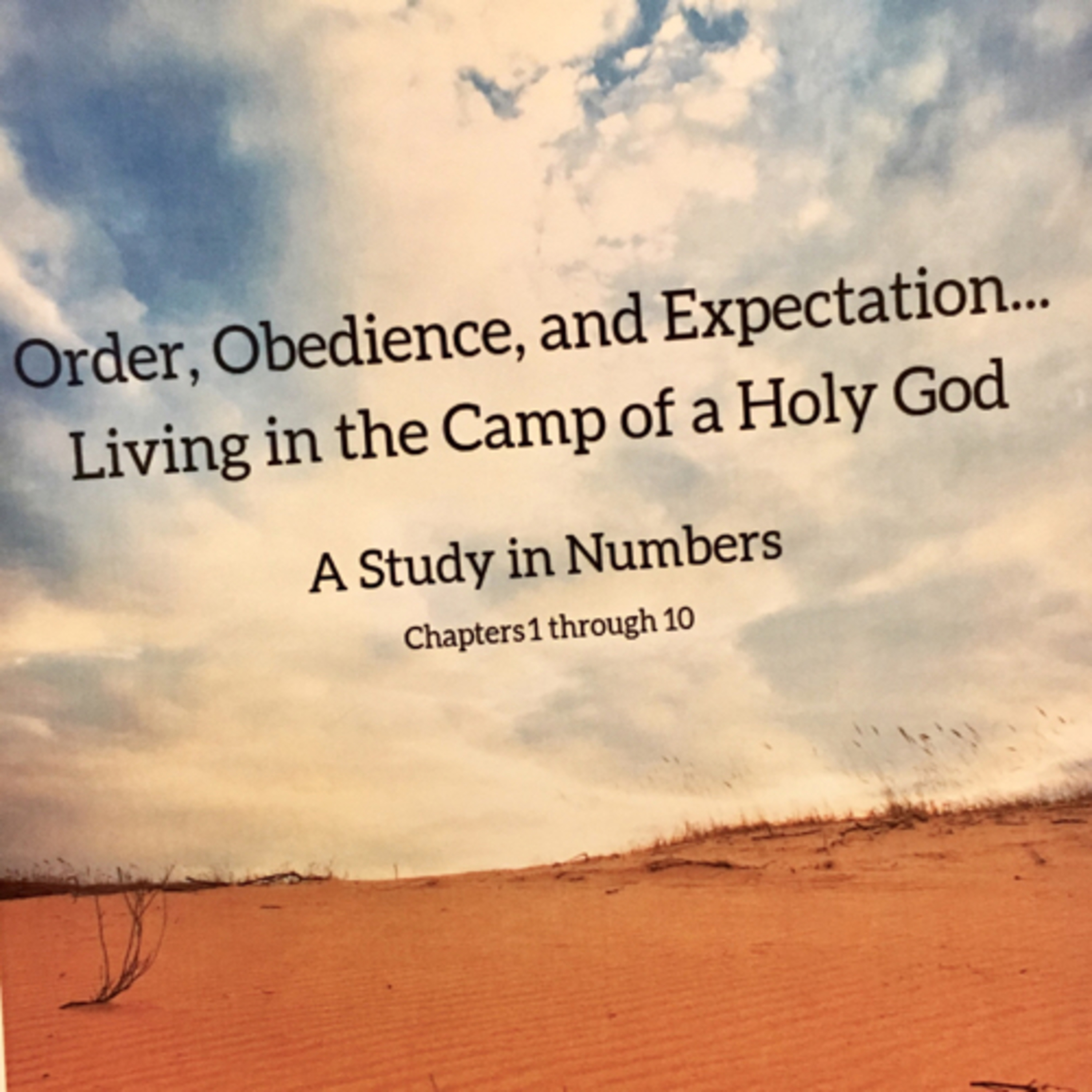 A Study in Numbers