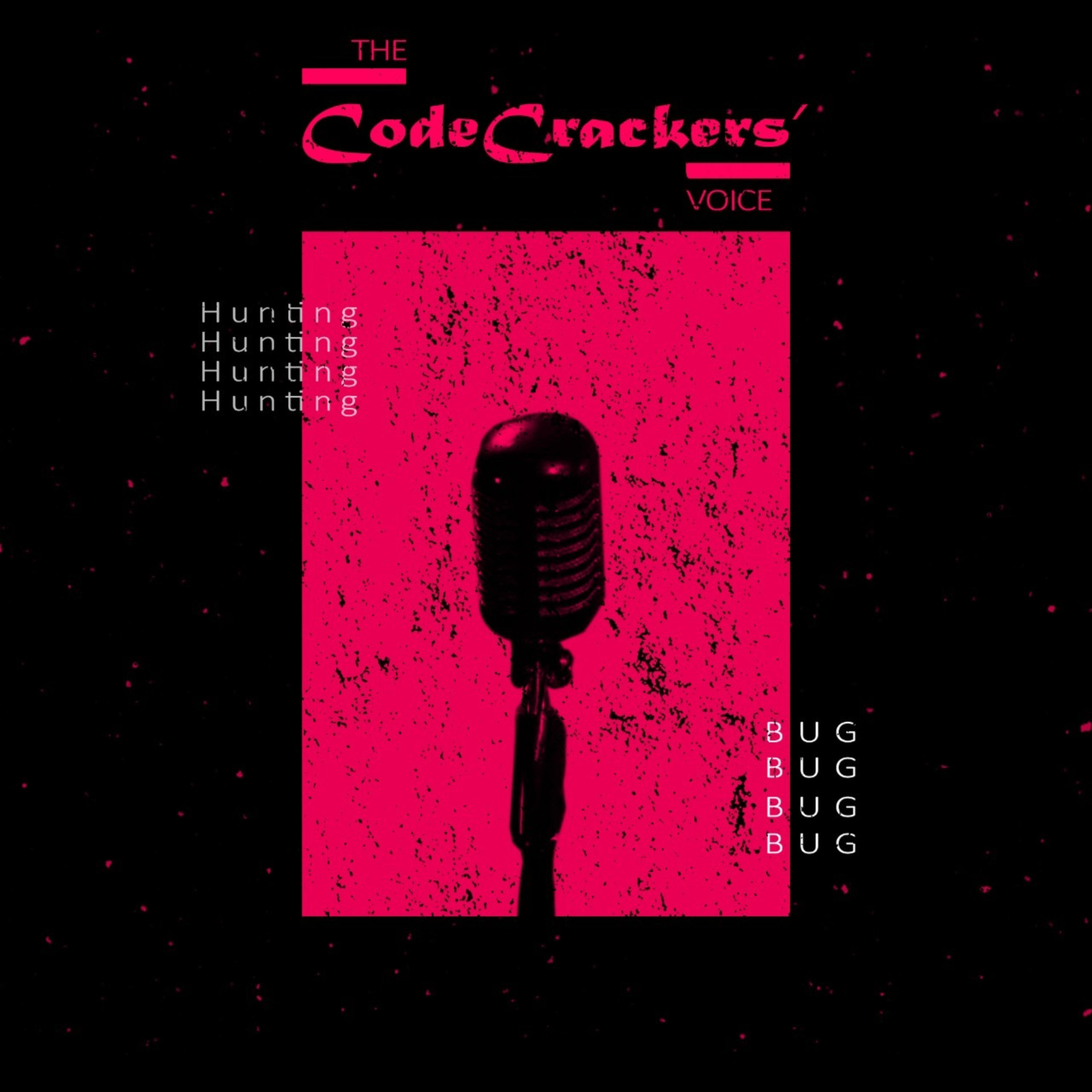 The CodeCrackers' Voice