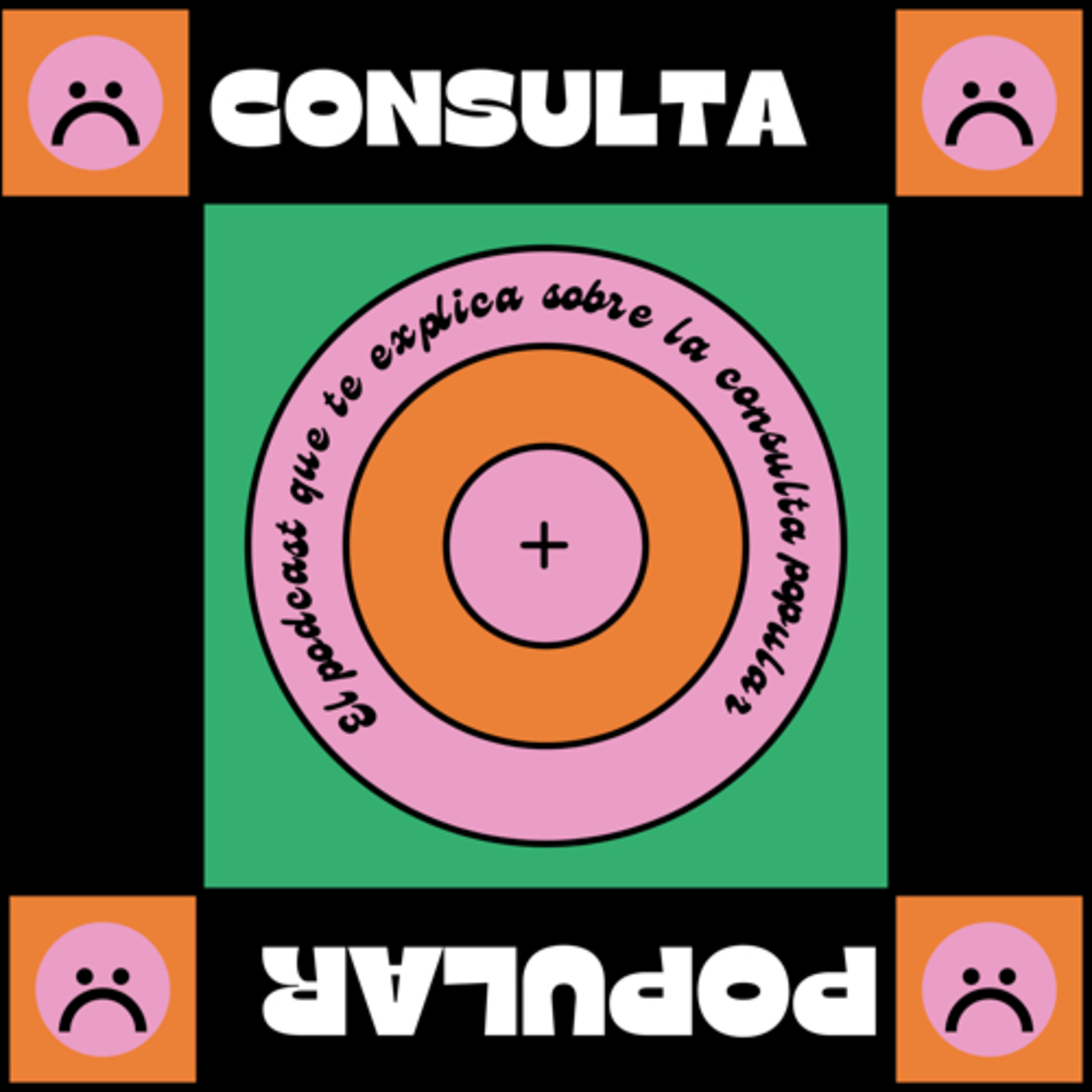 CONSULTA POPULAR 