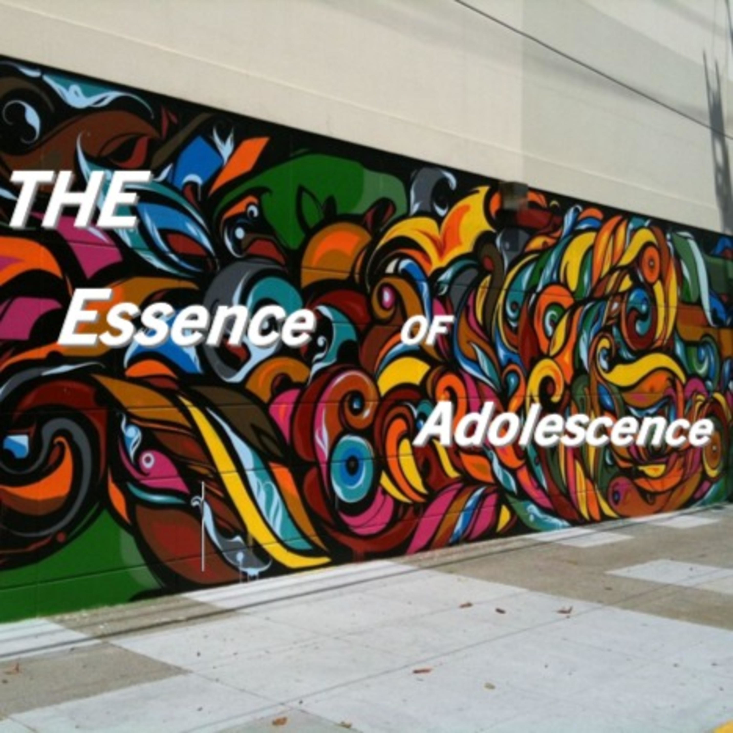 The Essence of Adolescence