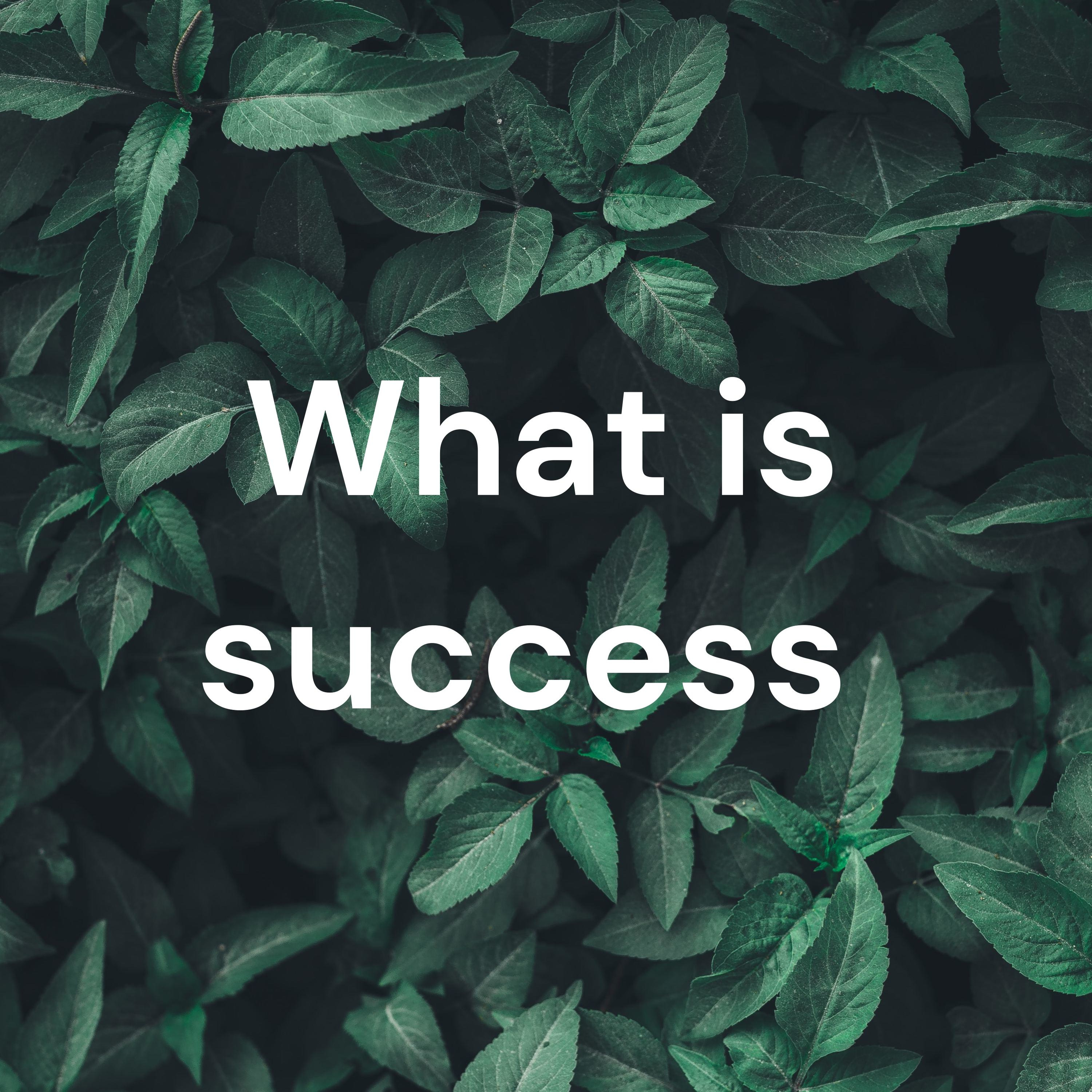 What is success 