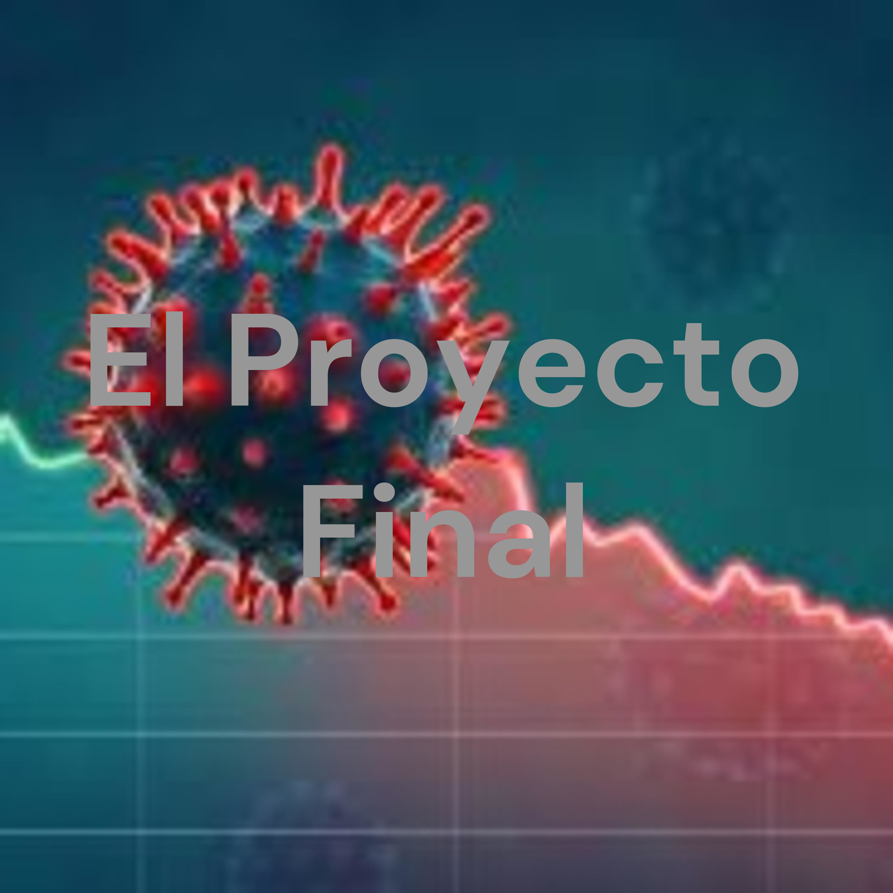 El Proyecto Final