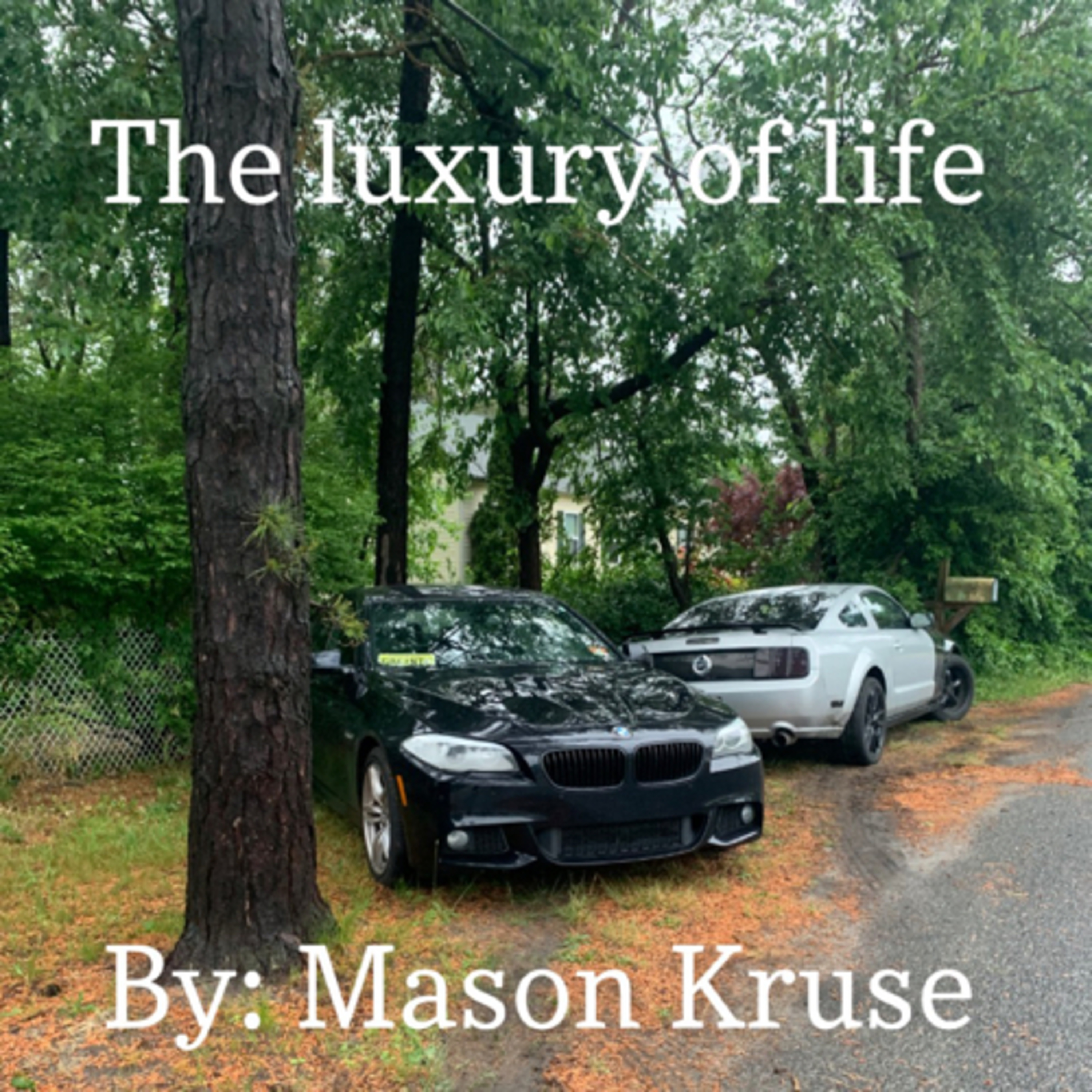 The luxury of life 