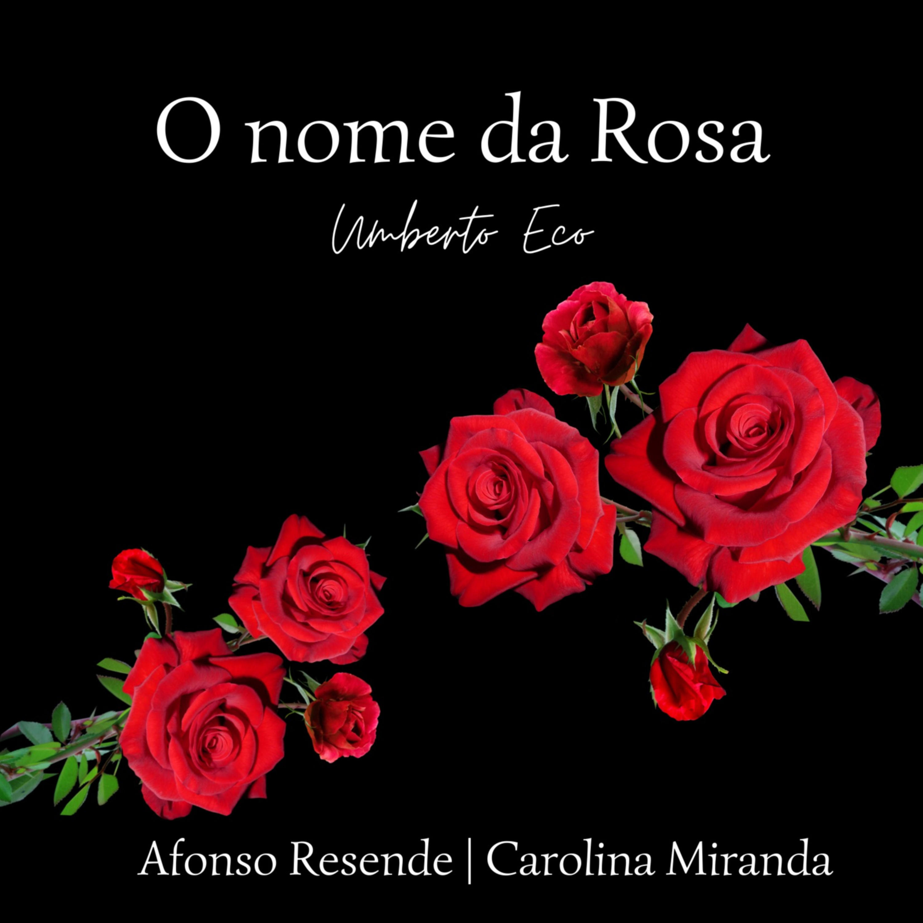 O Nome da Rosa podcast artwork