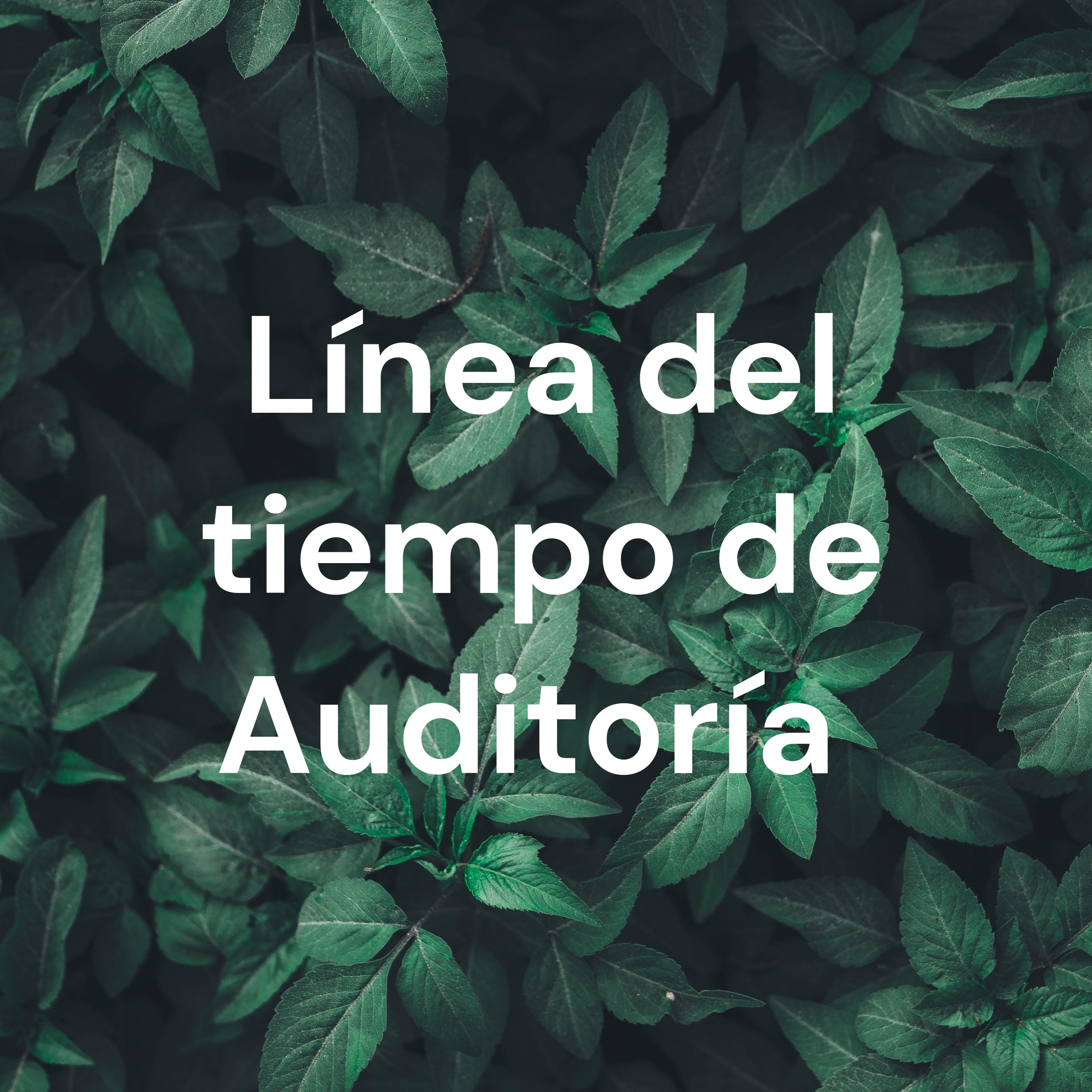 Línea del tiempo de Auditoría 