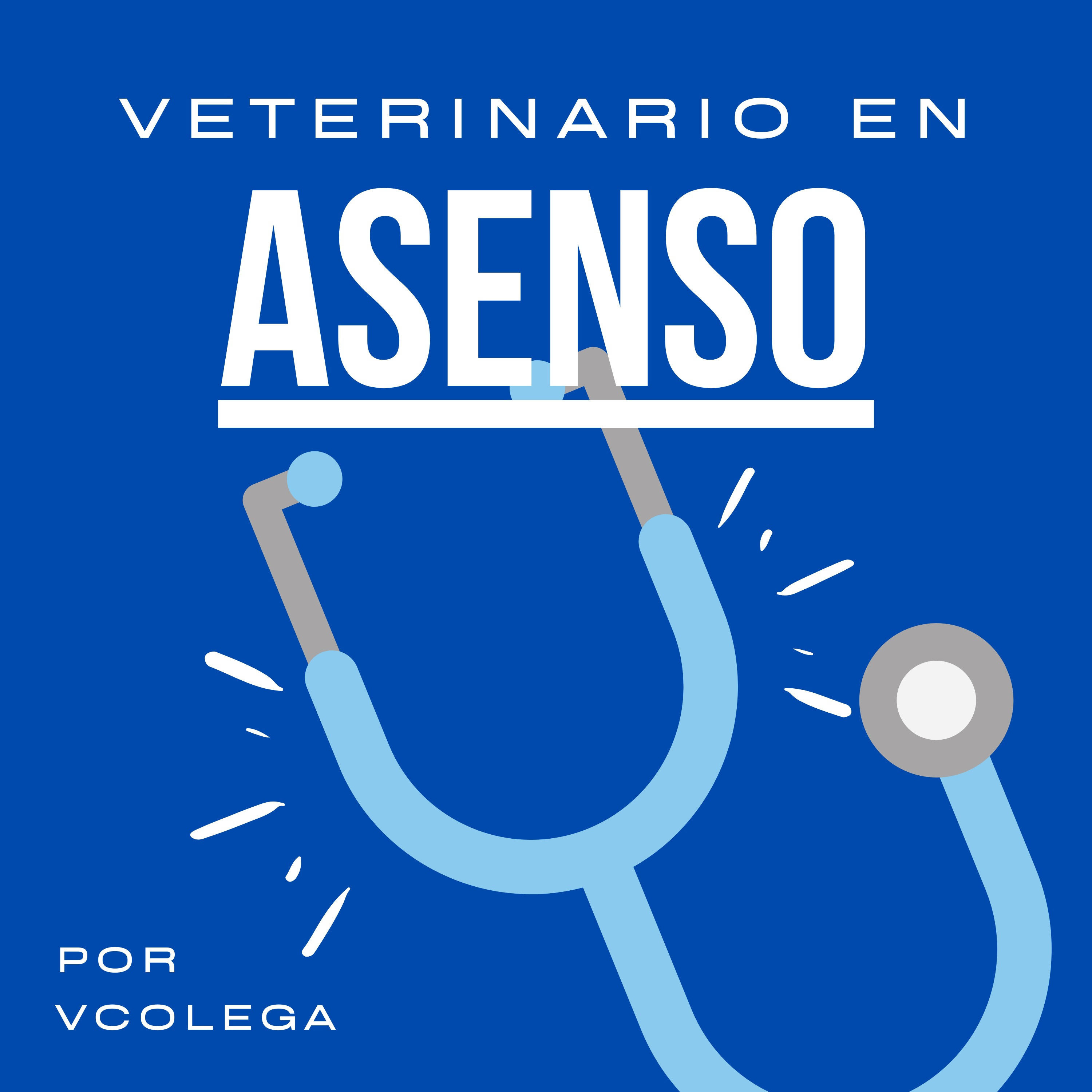 Veterinario en Asenso