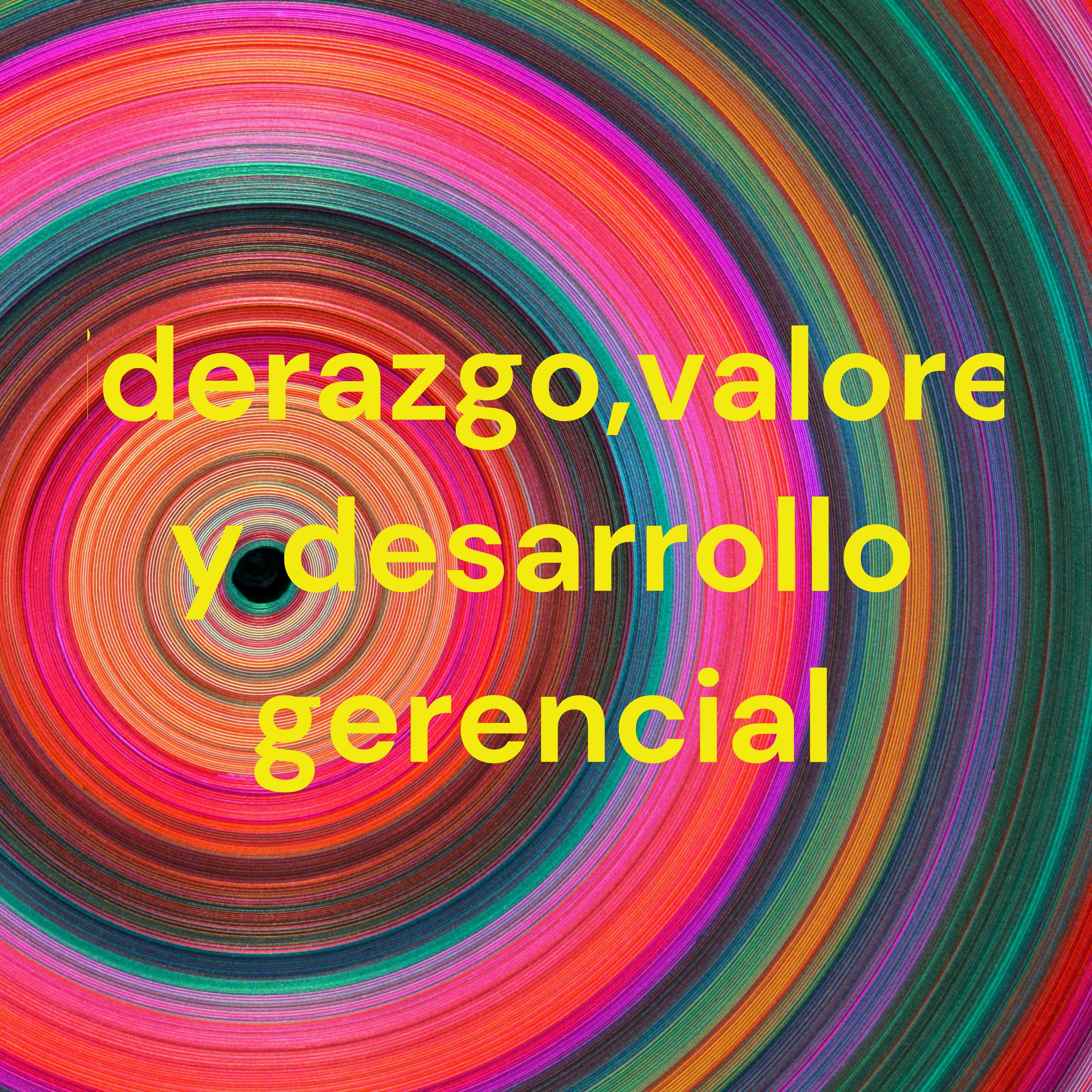 Liderazgo,valores y desarrollo gerencial