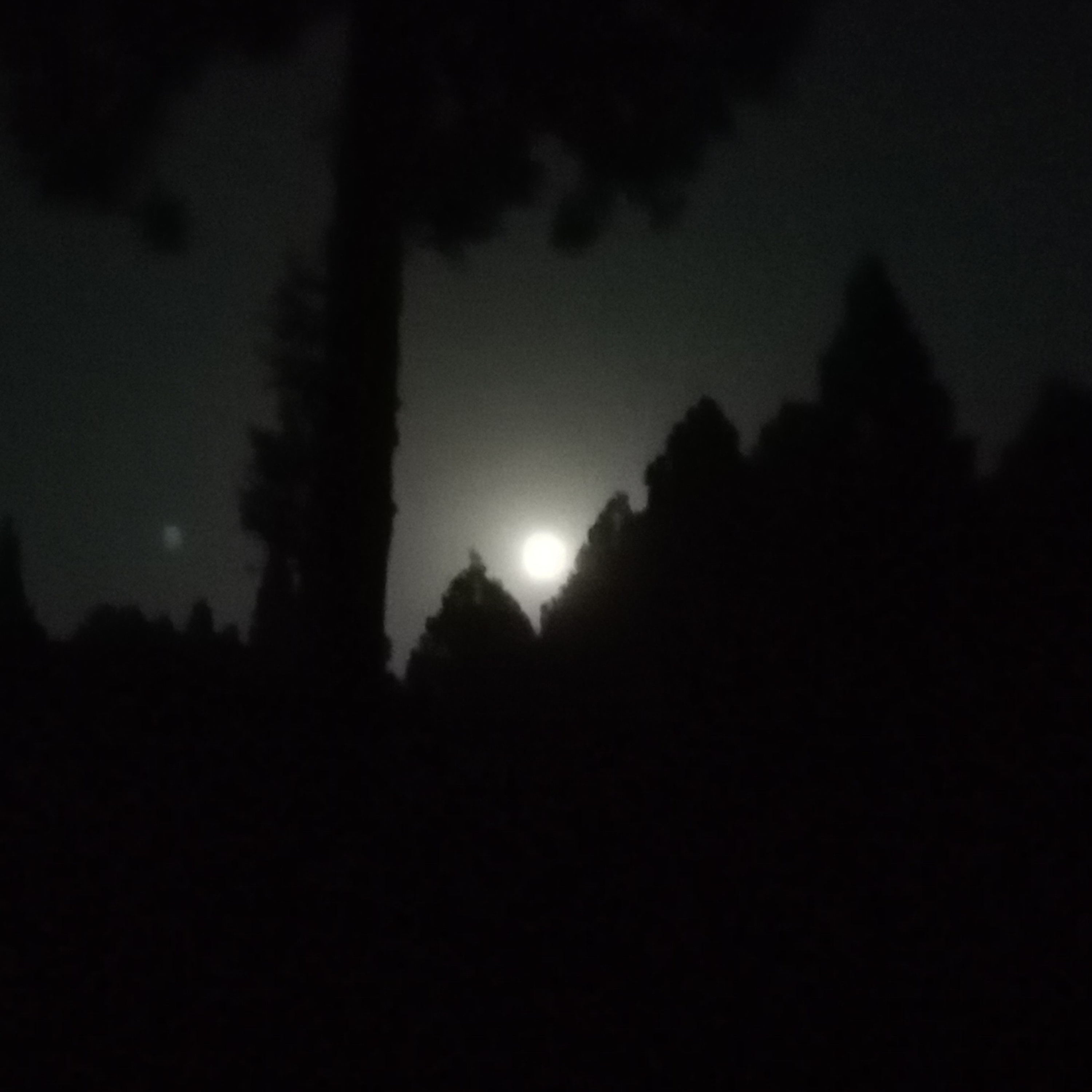 役者でない のポッドキャスト