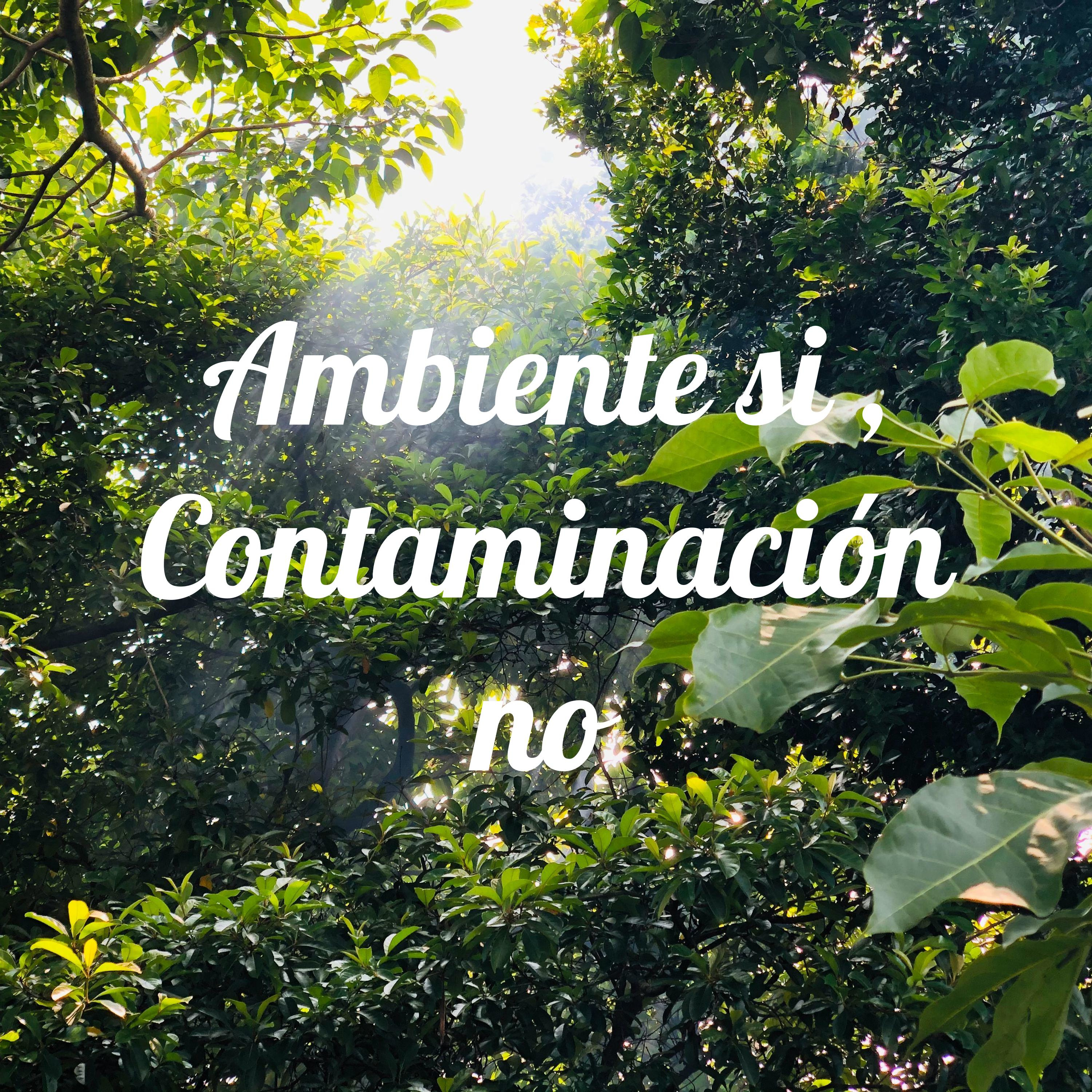 Ambiente si , Contaminación no