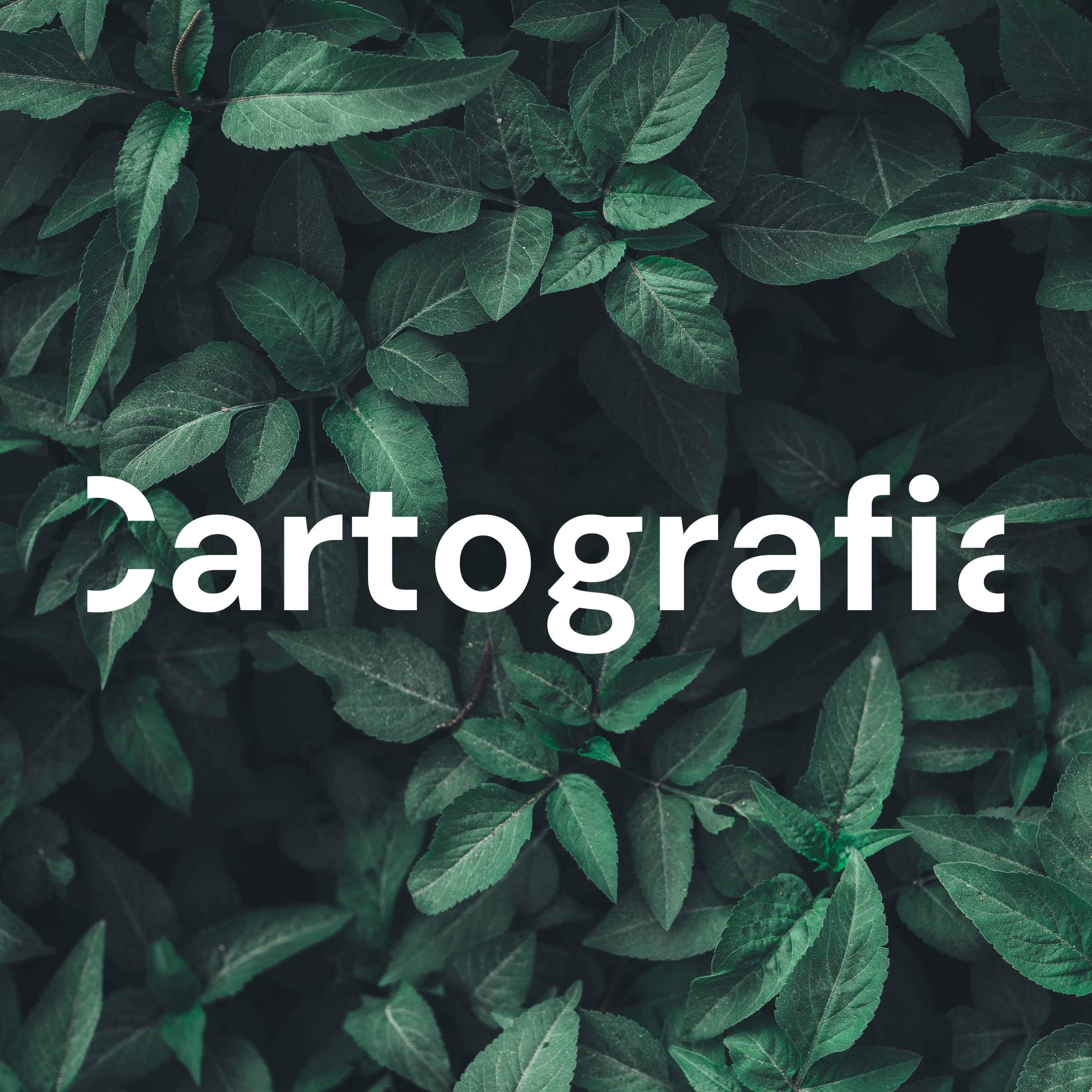 Cartografia