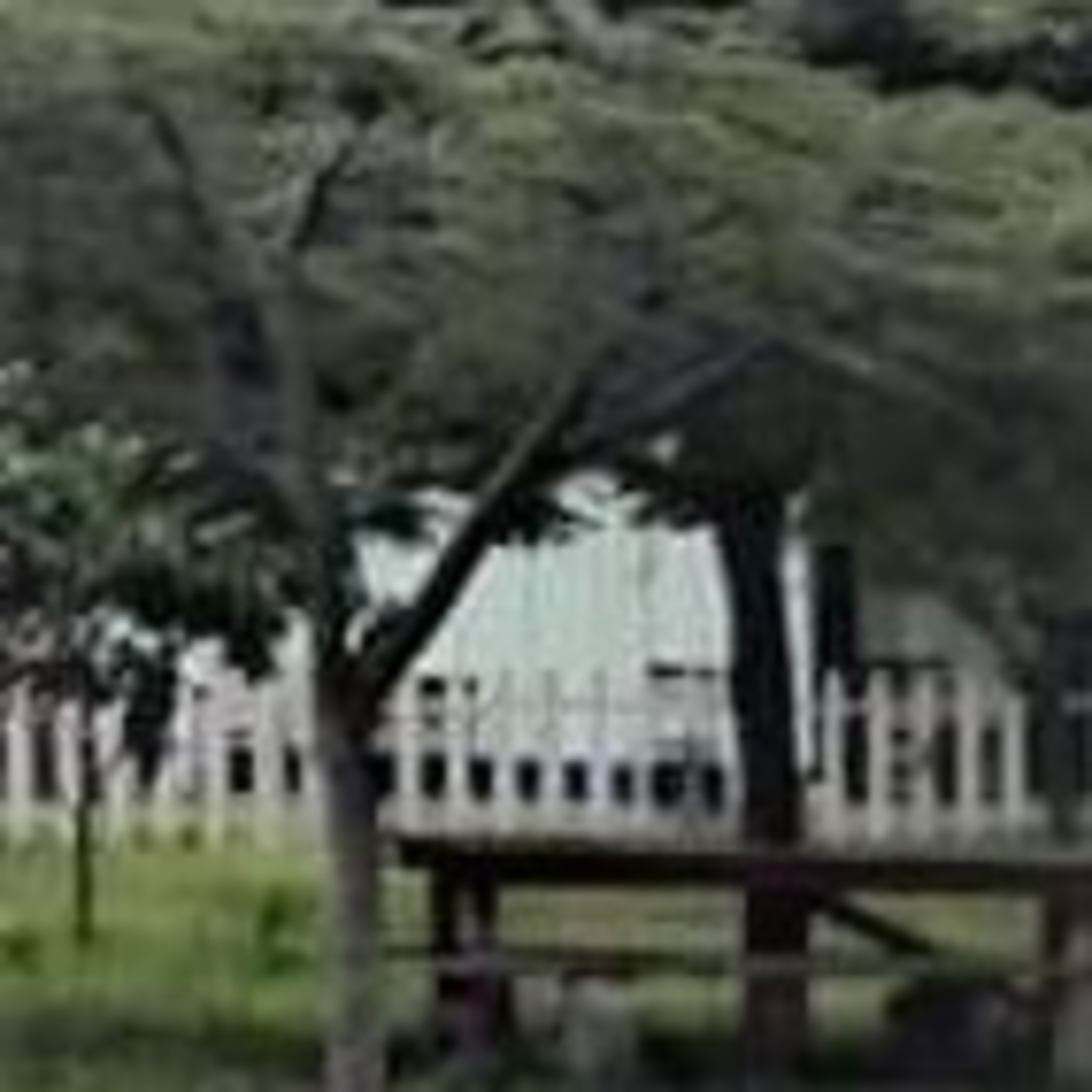 La Contaminación Del Aire