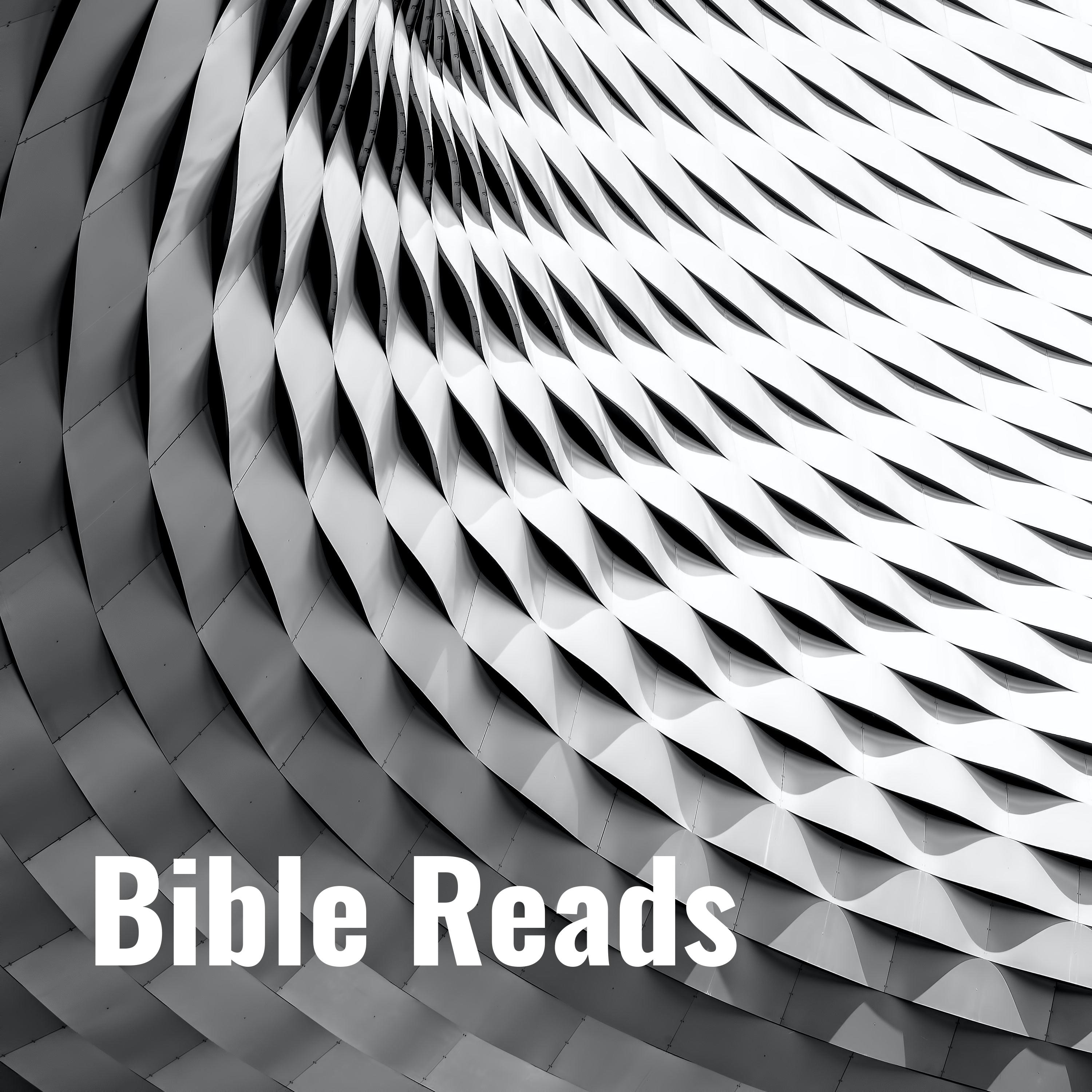 Bible Reads - Be Found In The Word