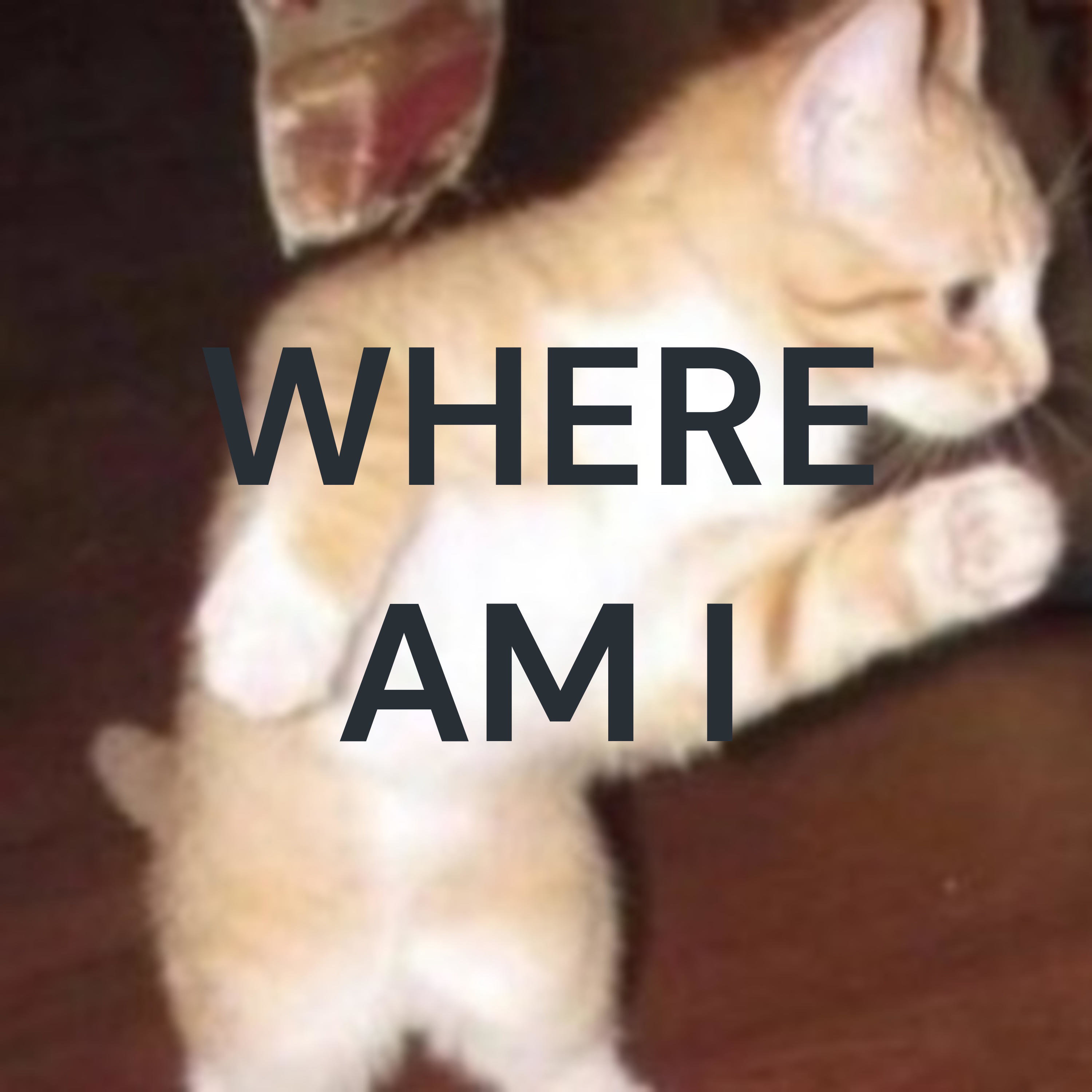 WHERE 