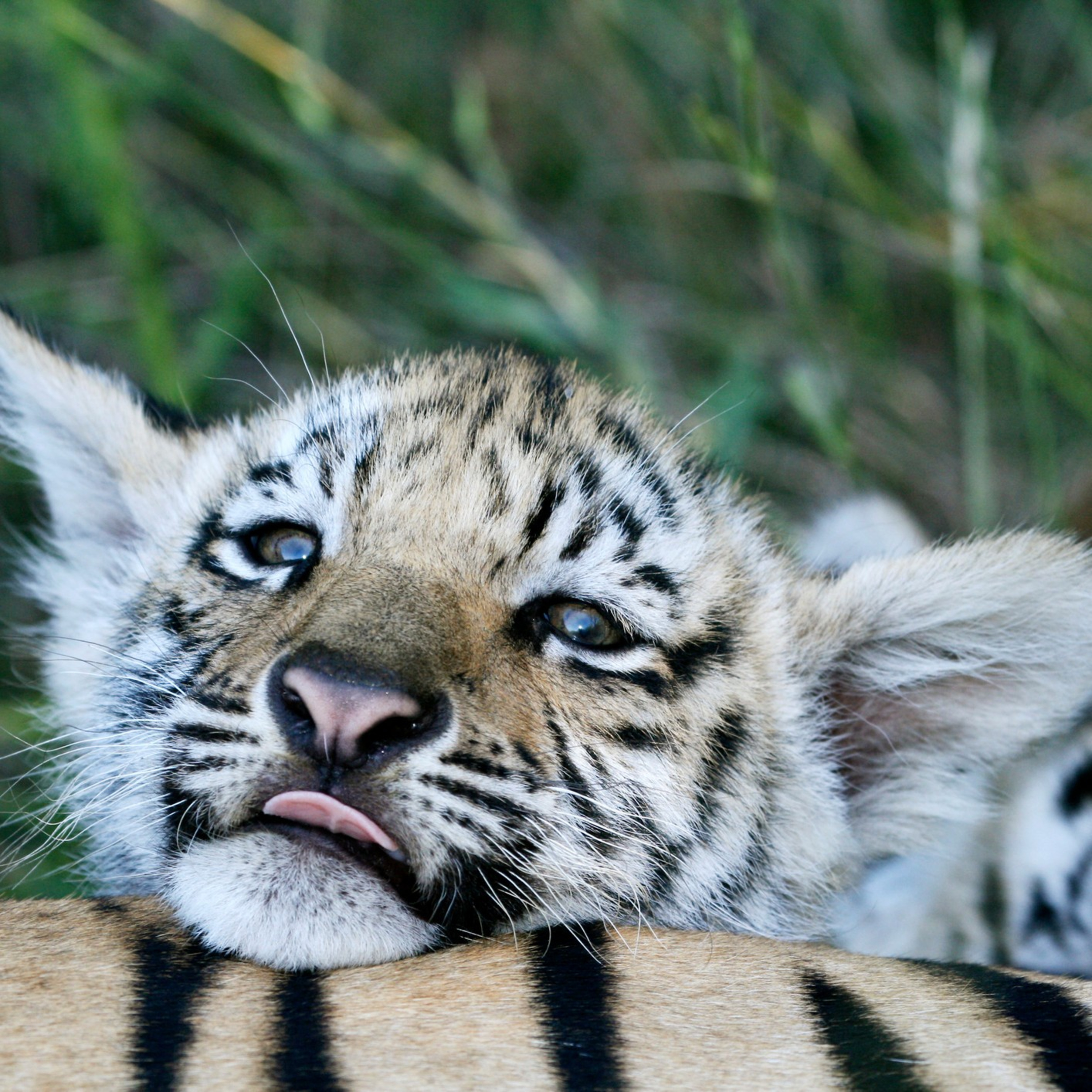 Zindagi Ki Pathshala