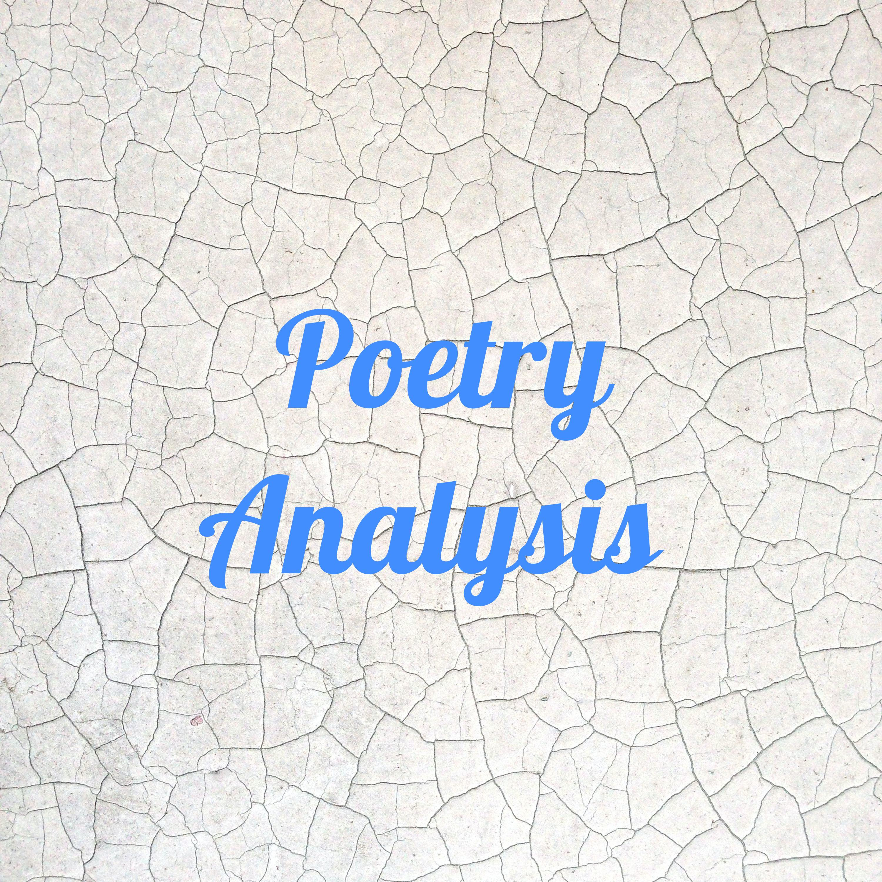 Poetry Analysis 