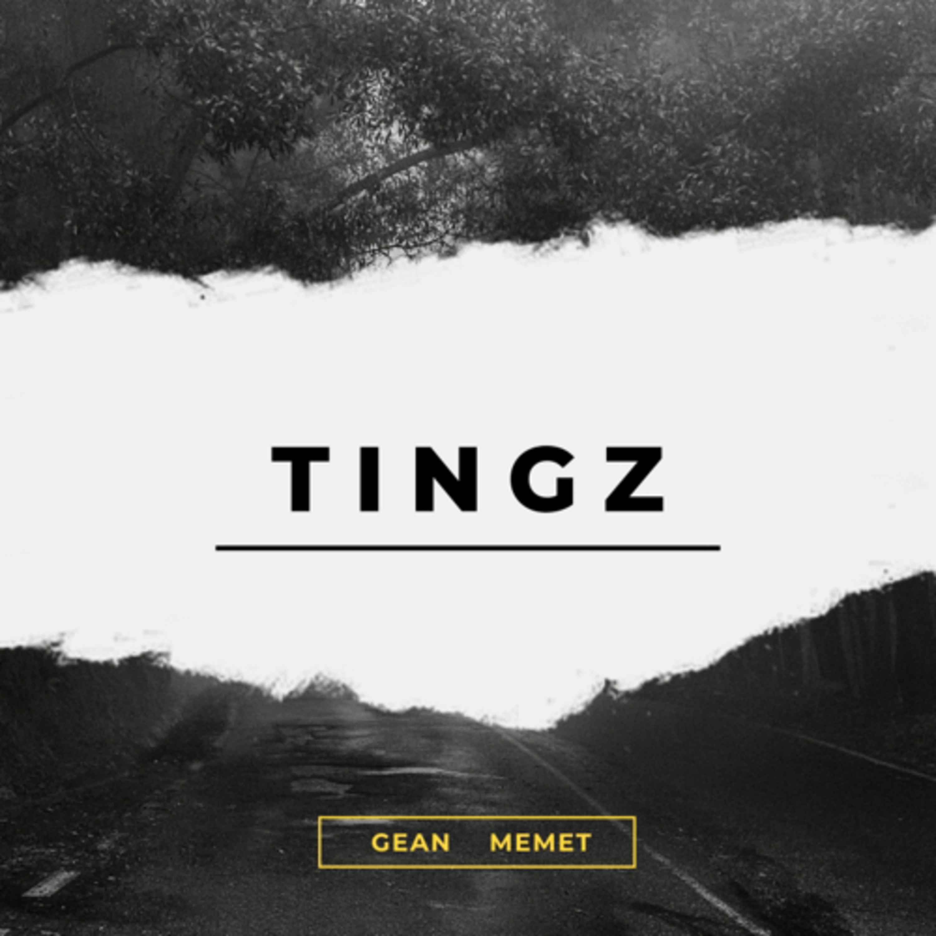 TINGZ