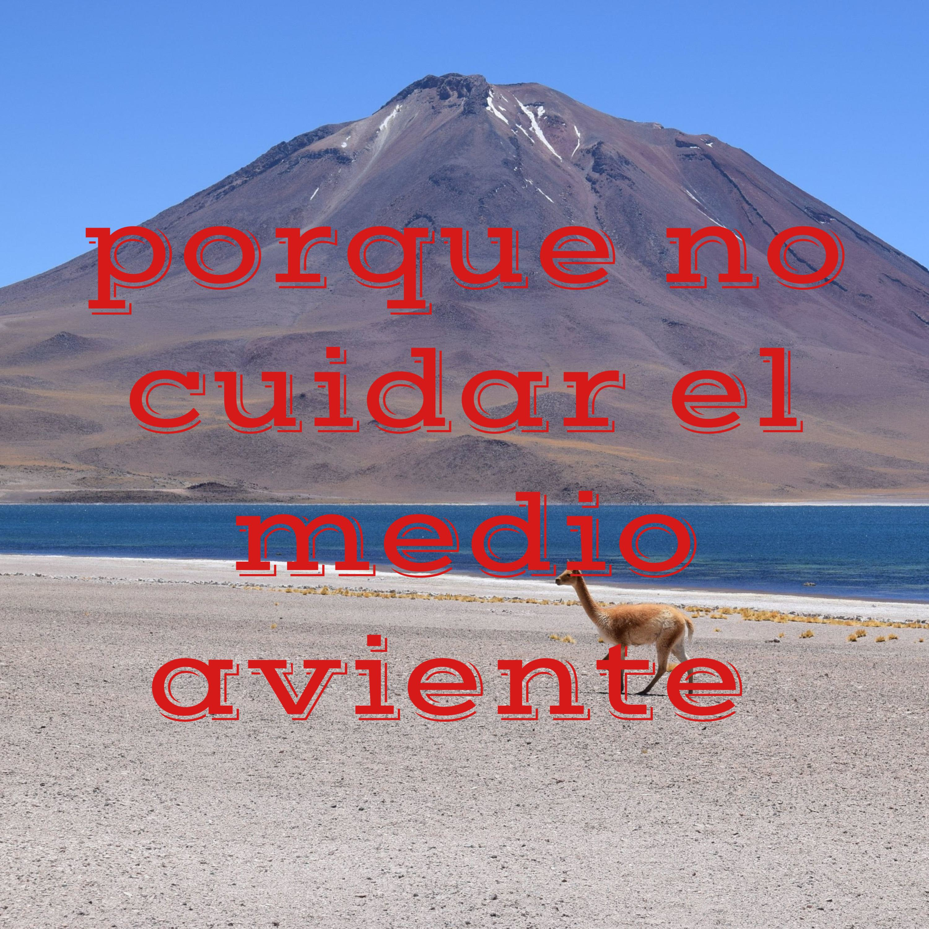 porque no cuidar el medio aviente