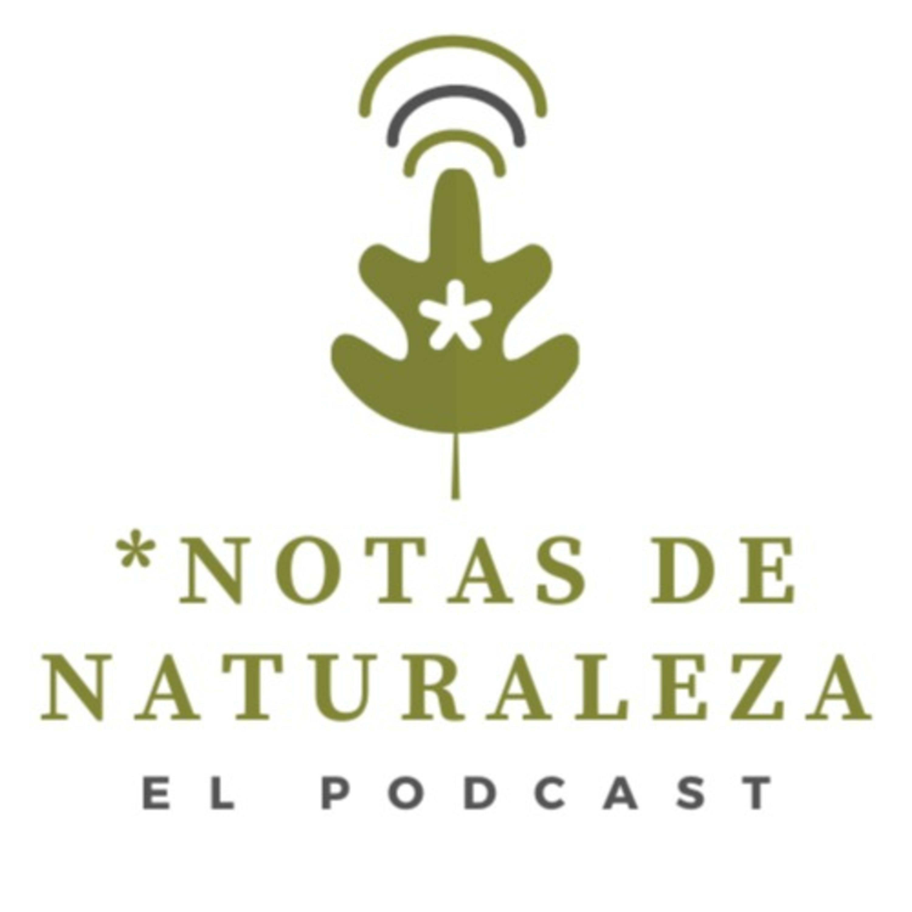 Cambio de nombre. De Cuaderno de Campod a Notas de Naturaleza. episode artwork