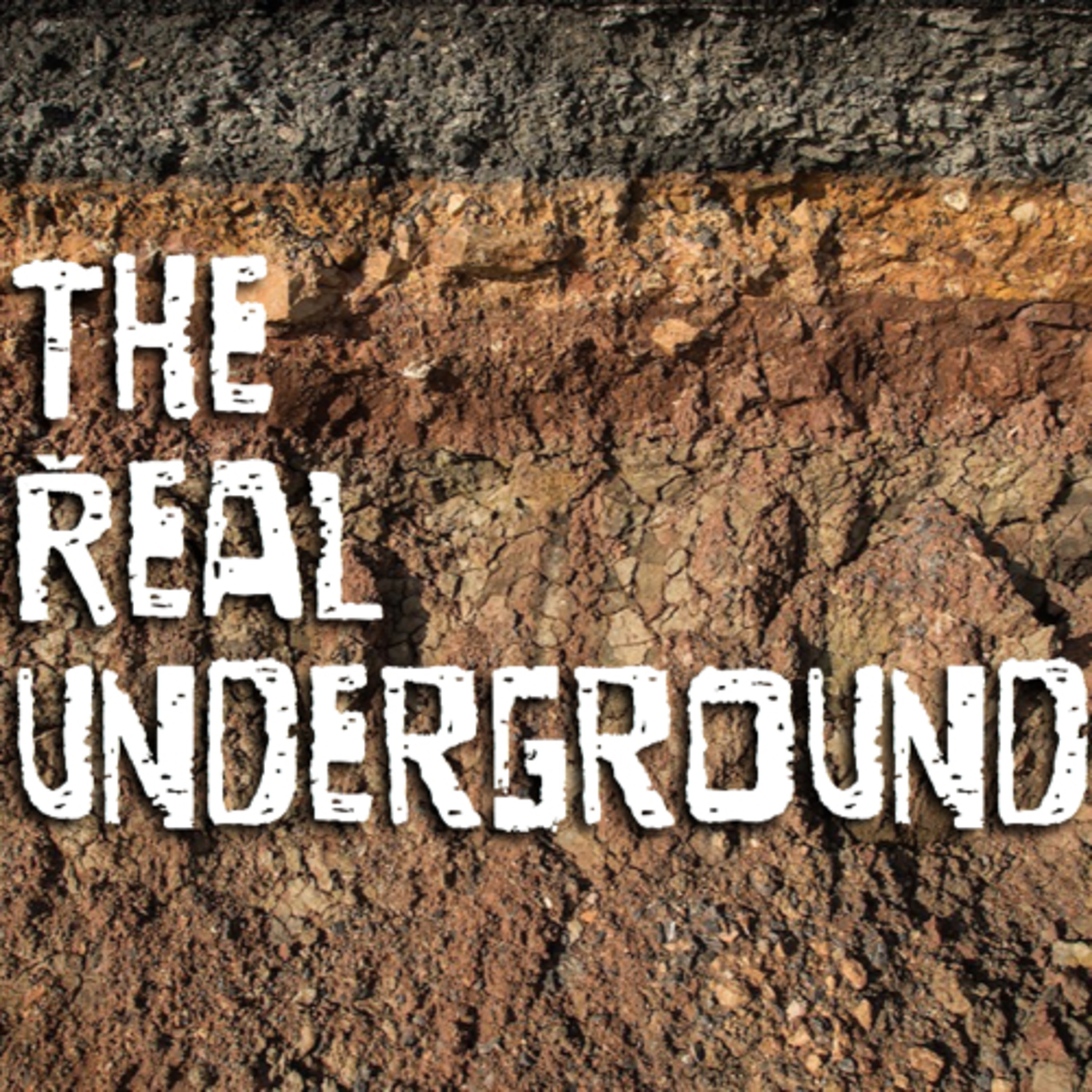 Episode 9 - Beefin' with vegan