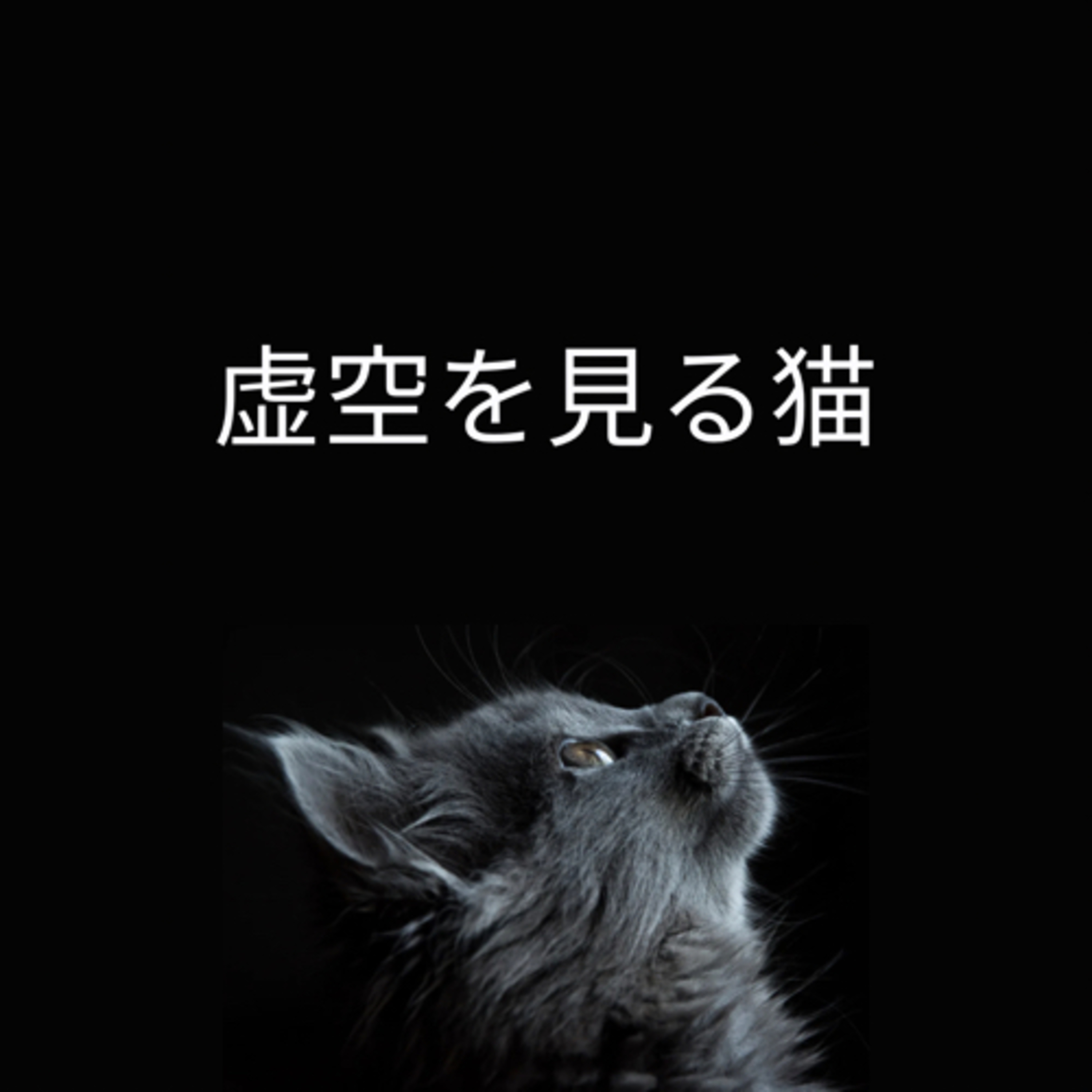 虚空を見る猫