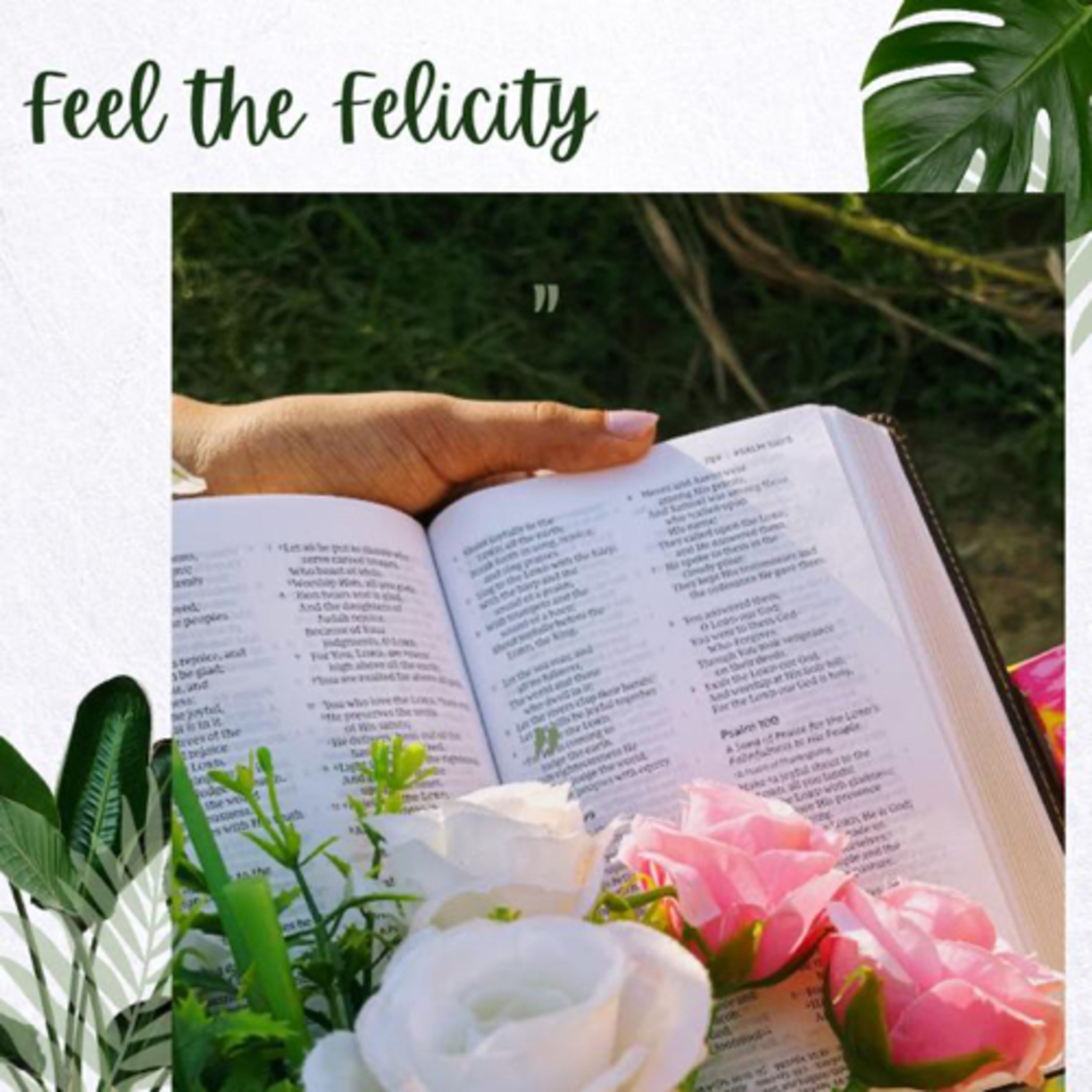 Feel the Felicity