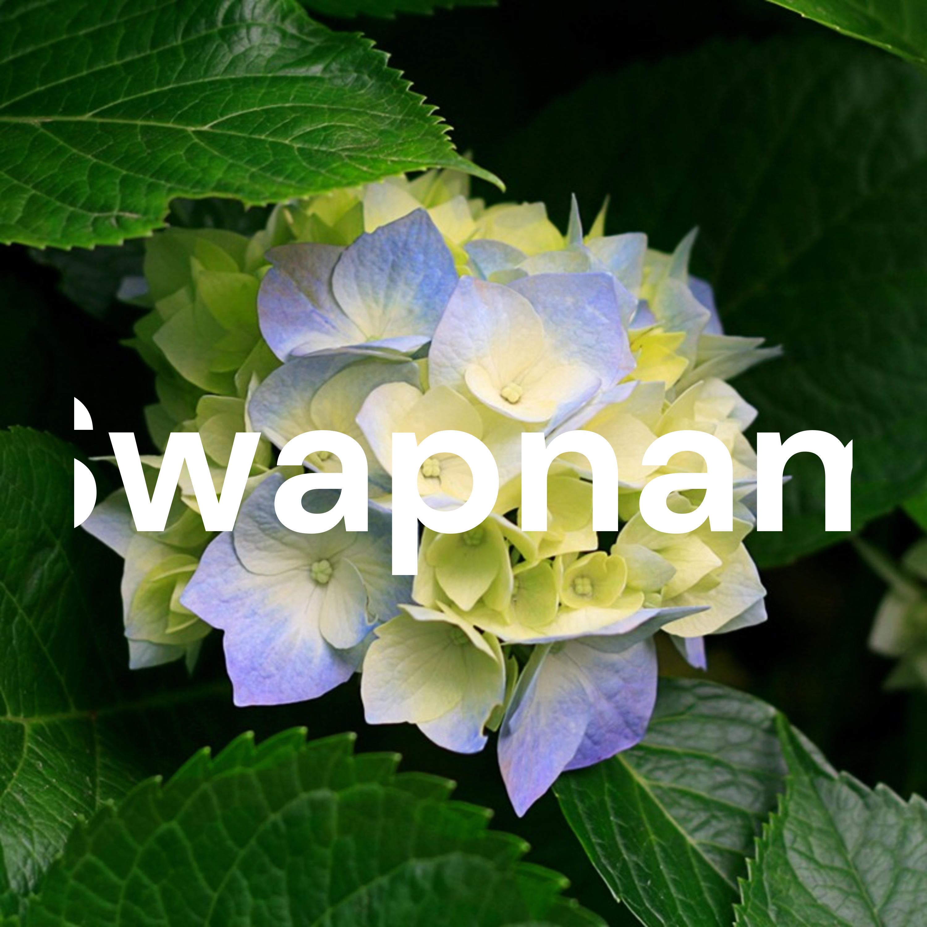 Swapnam