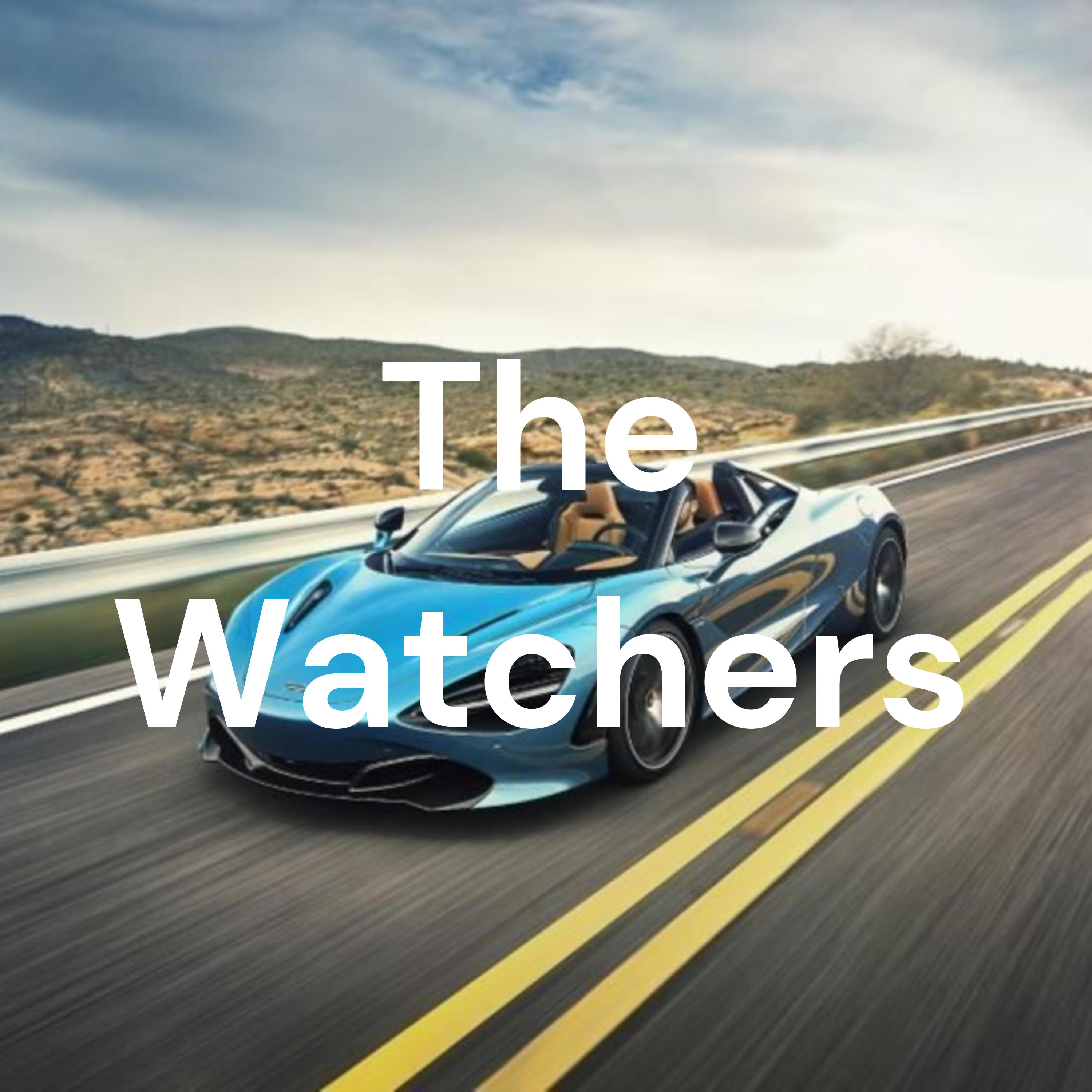 The Watchers