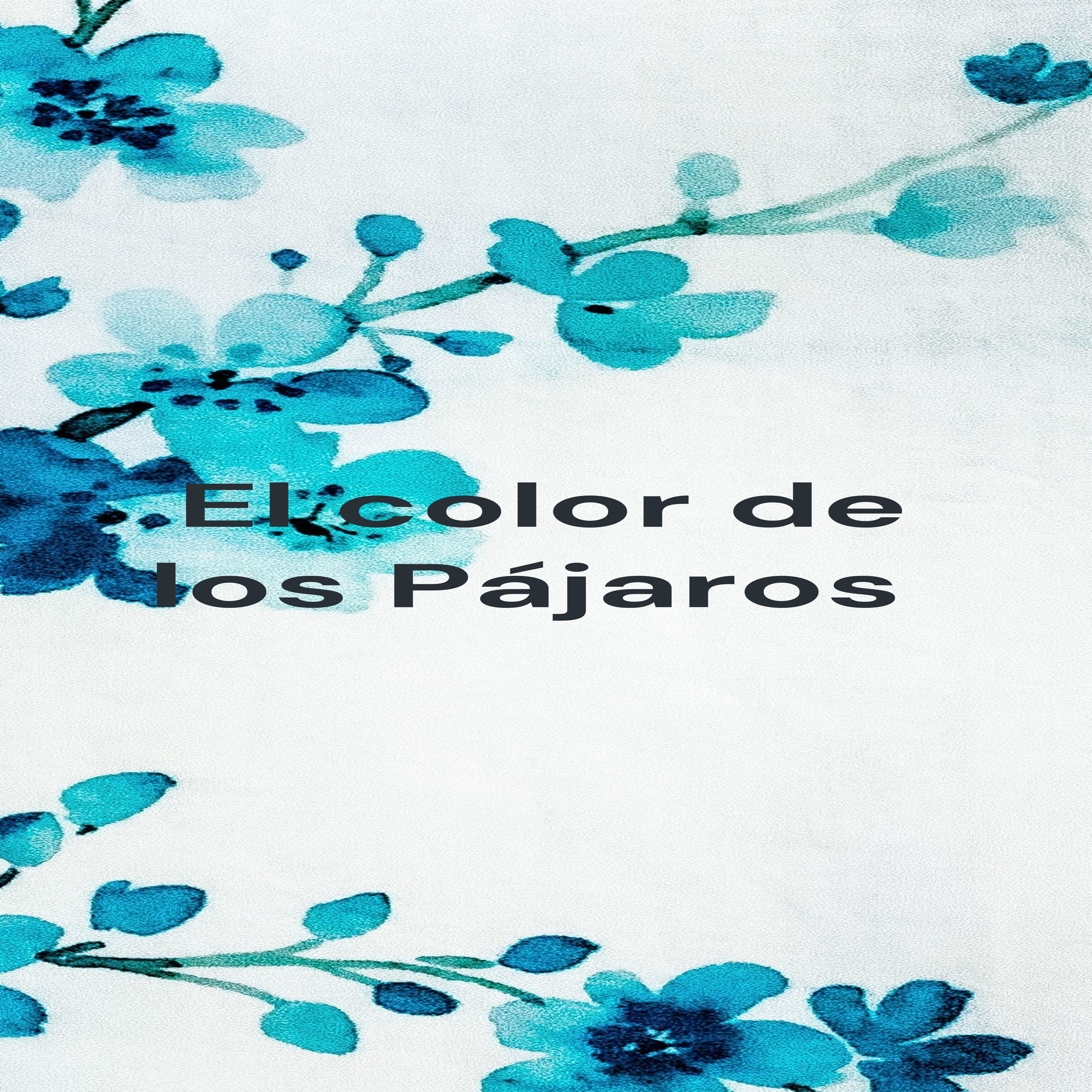 El color de los Pájaros