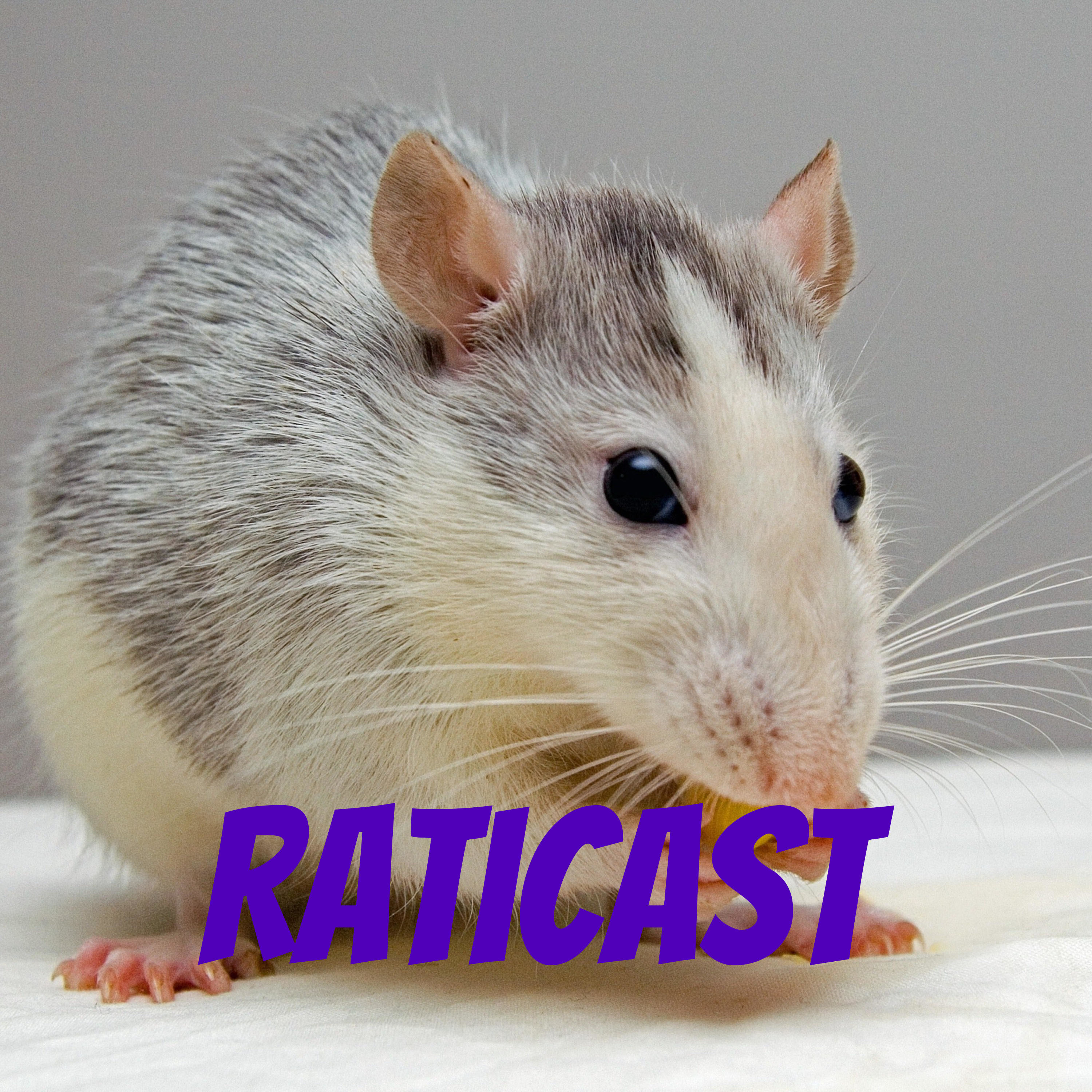Raticast