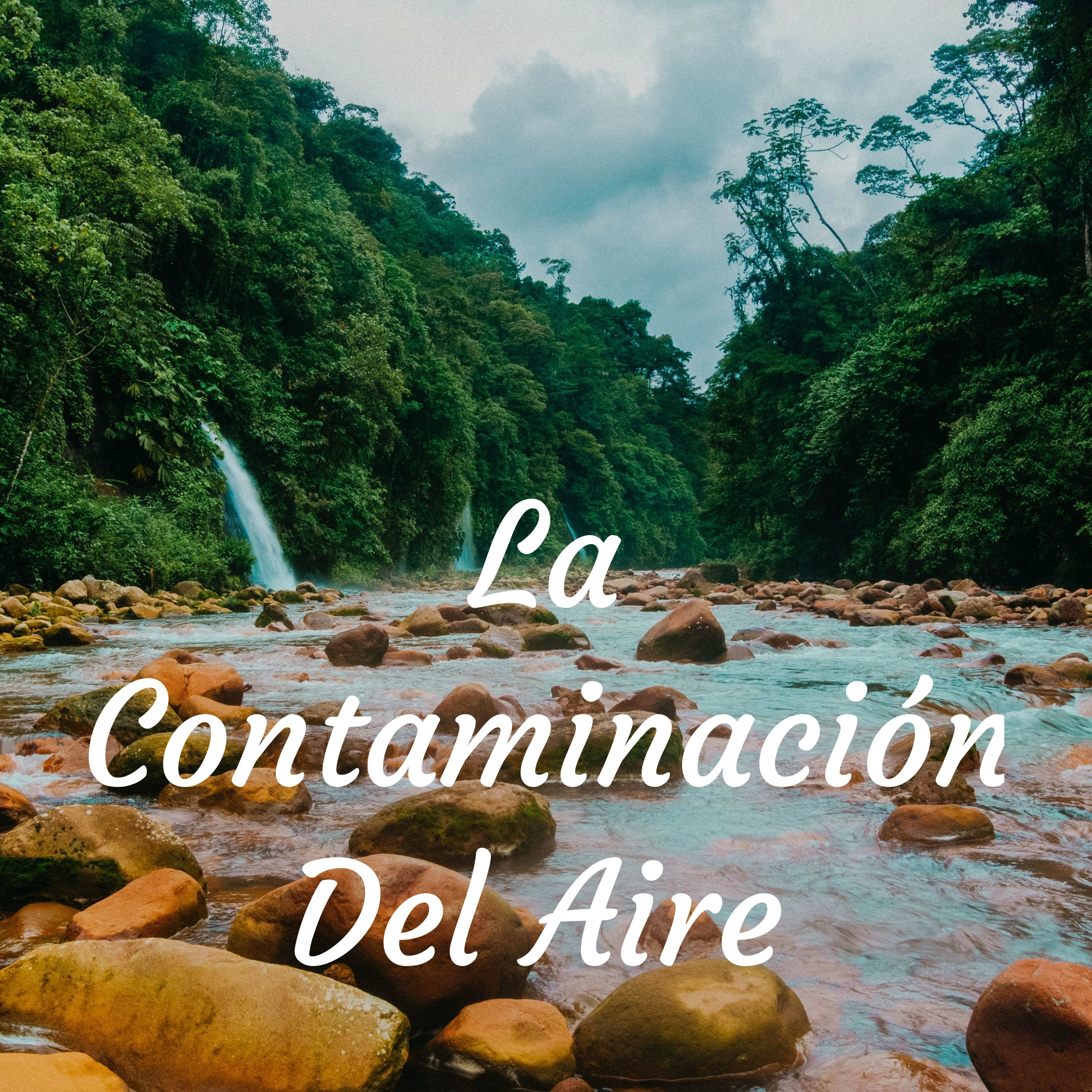 La Contaminación Del Aire