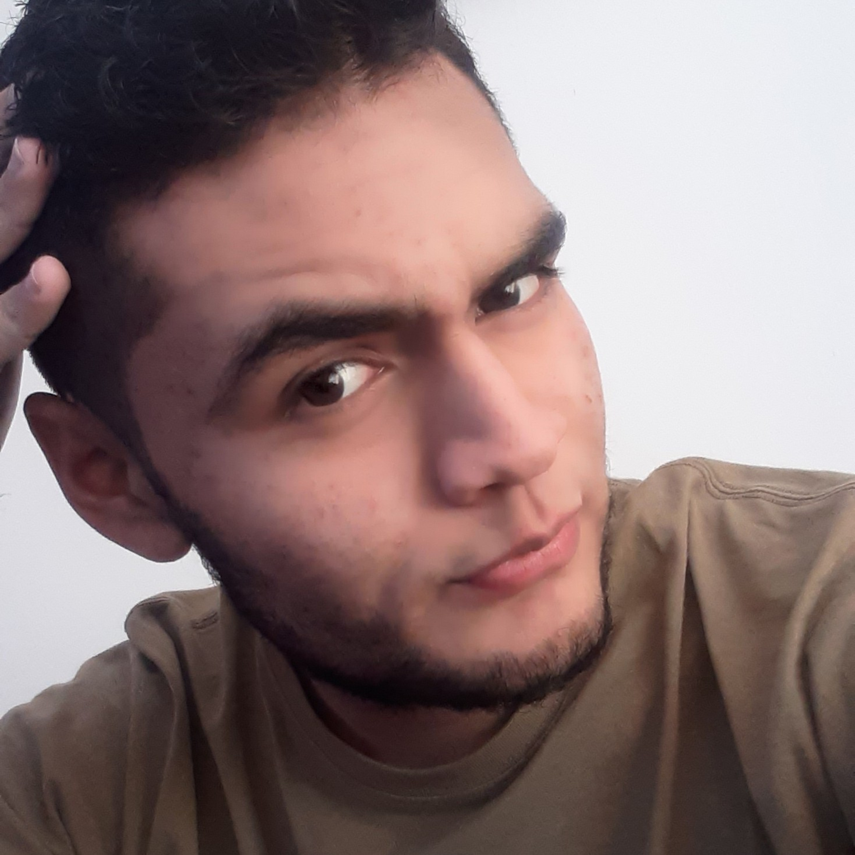 Bichología