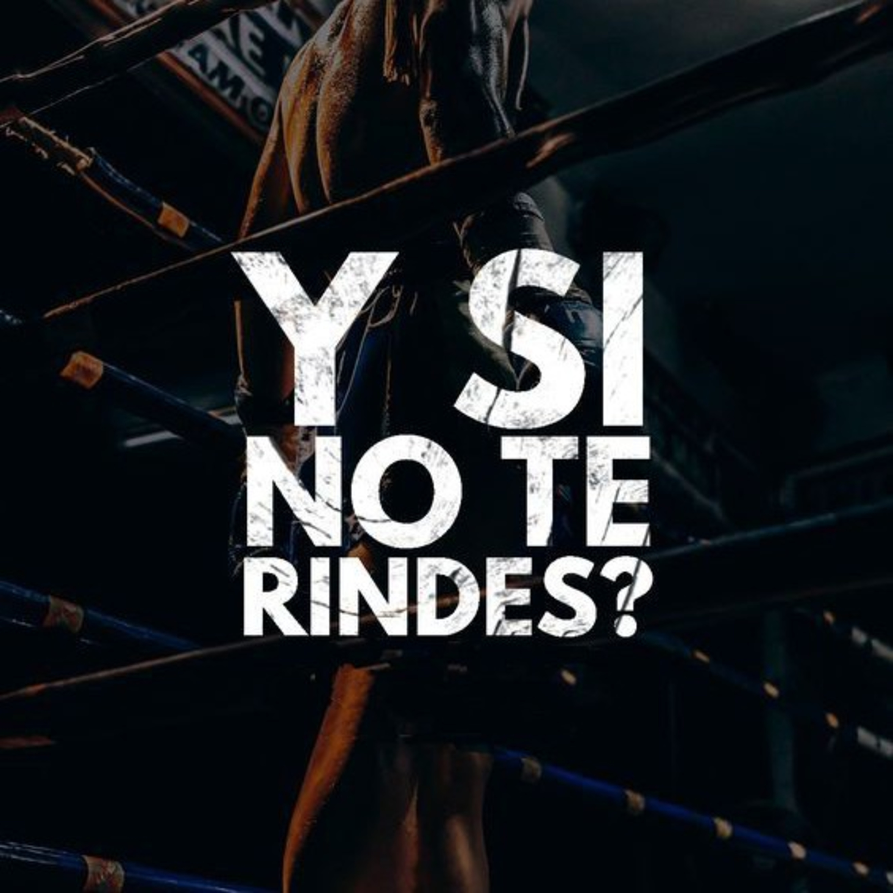 En mi vida diaria