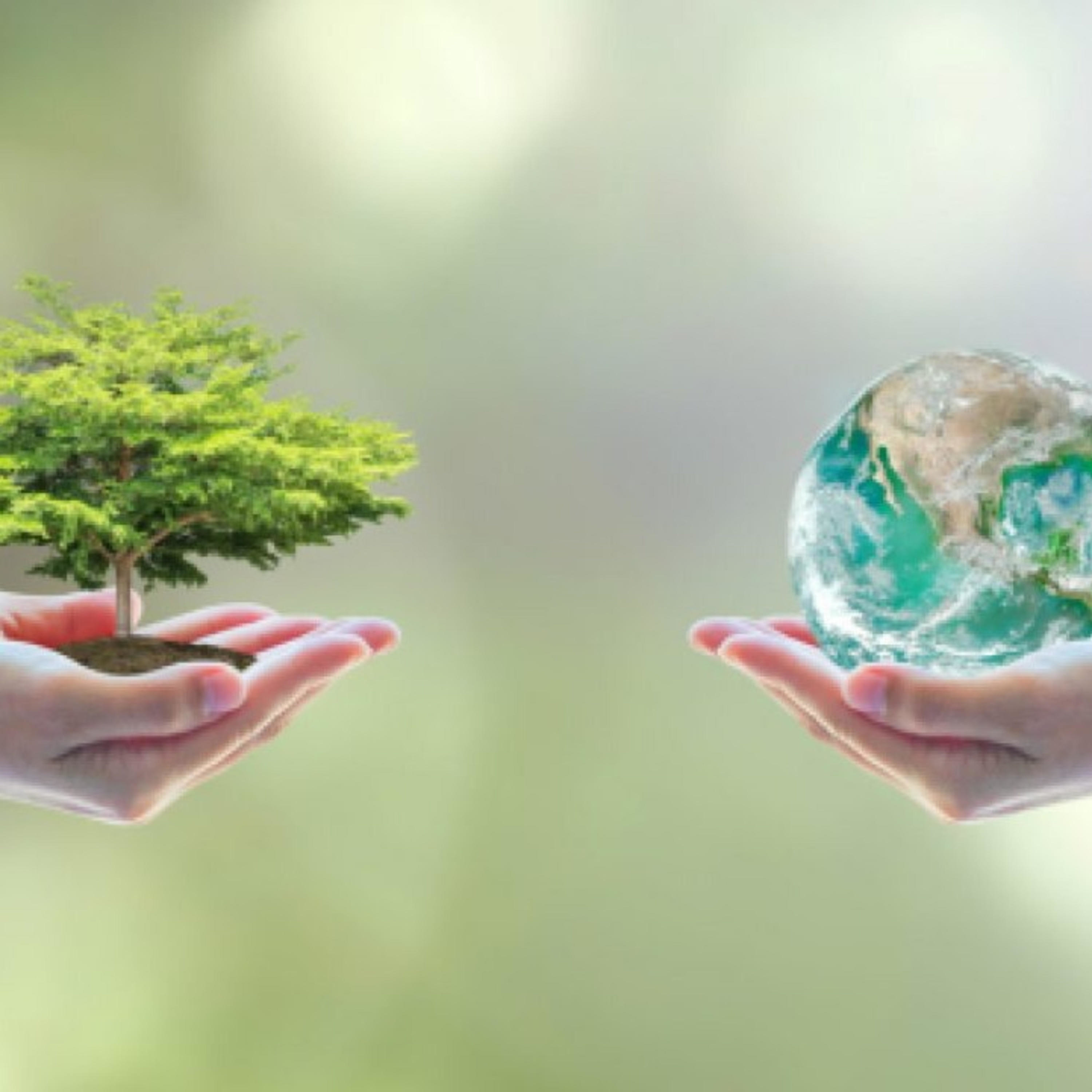 se parte de la solución no de la contaminación