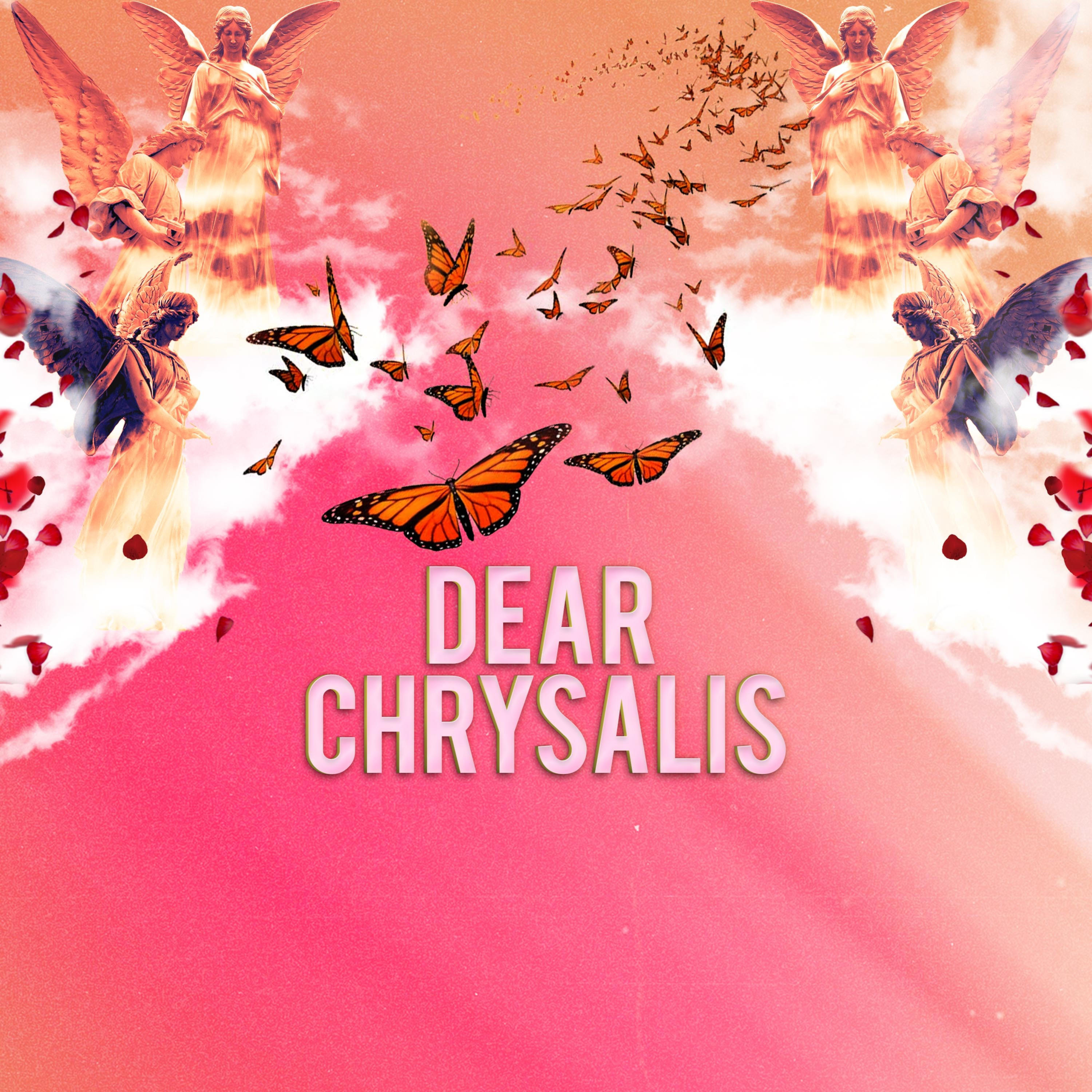 Dear Chrysalis