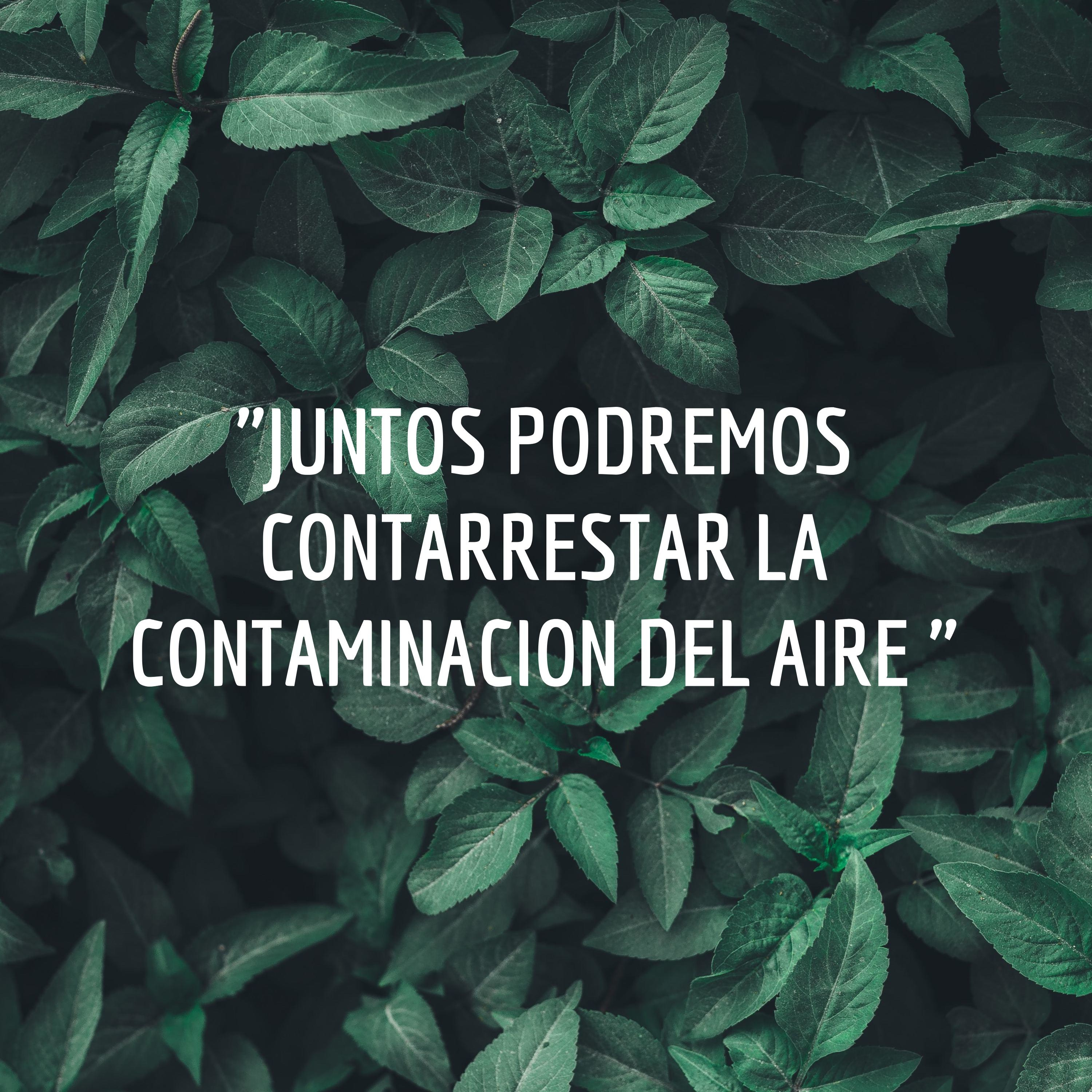 "JUNTOS PODREMOS CONTARRESTAR LA CONTAMINACION DEL AIRE "