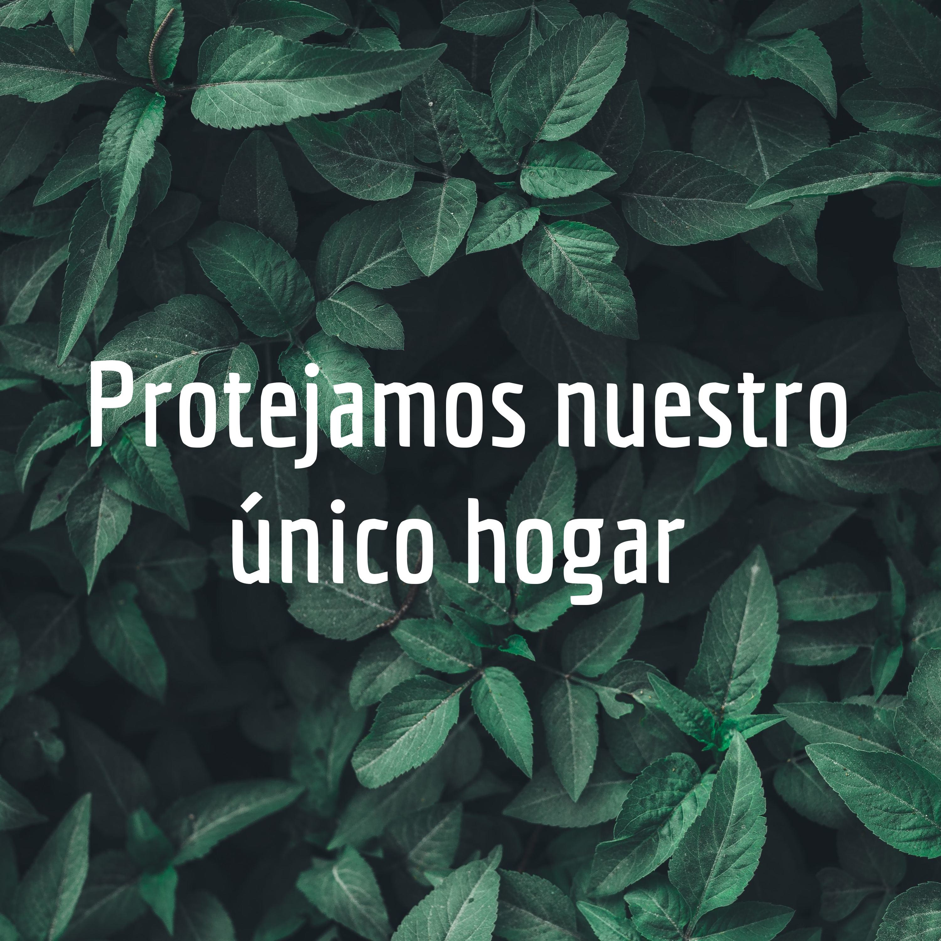 Protejamos nuestro único hogar 