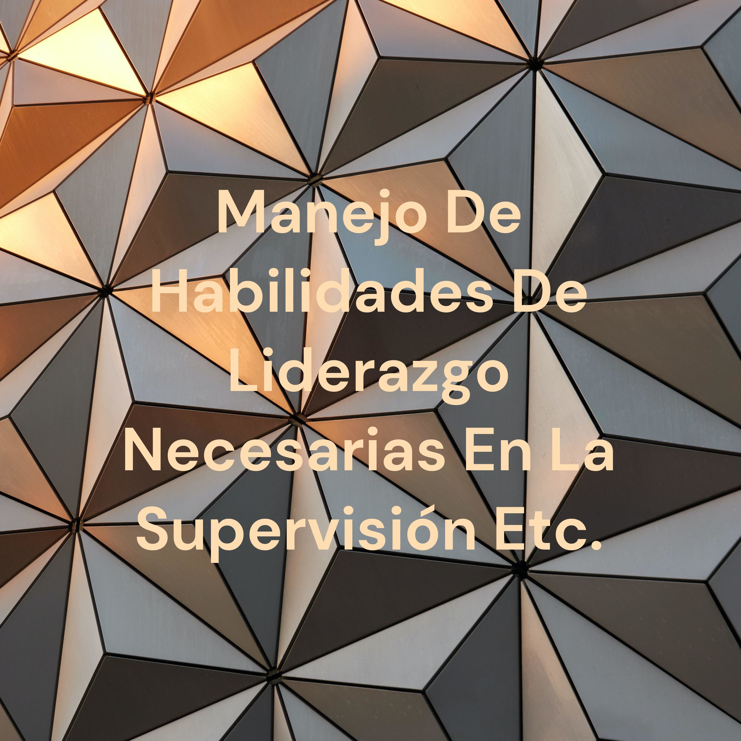 Manejo De Habilidades De Liderazgo Necesarias En La Supervisión Etc.