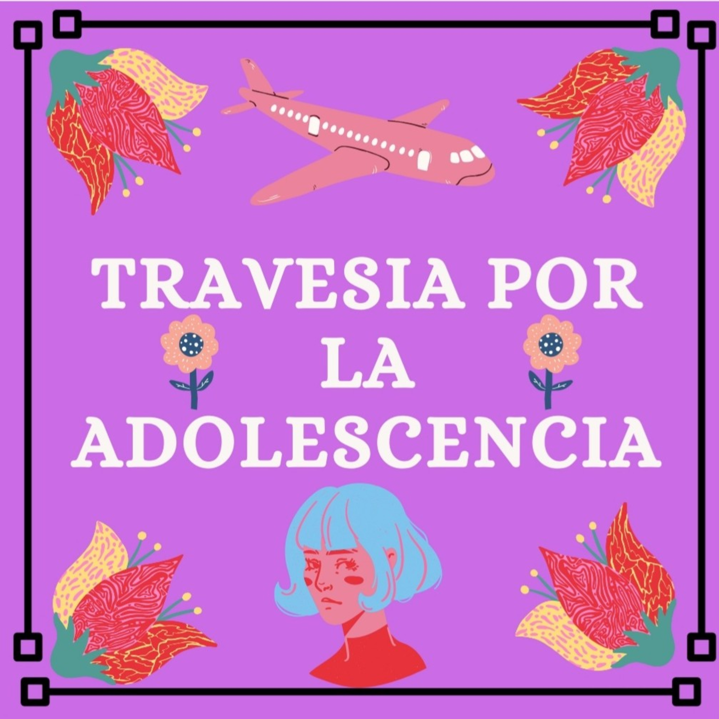 Portada de Travesía Por La Adolescencia