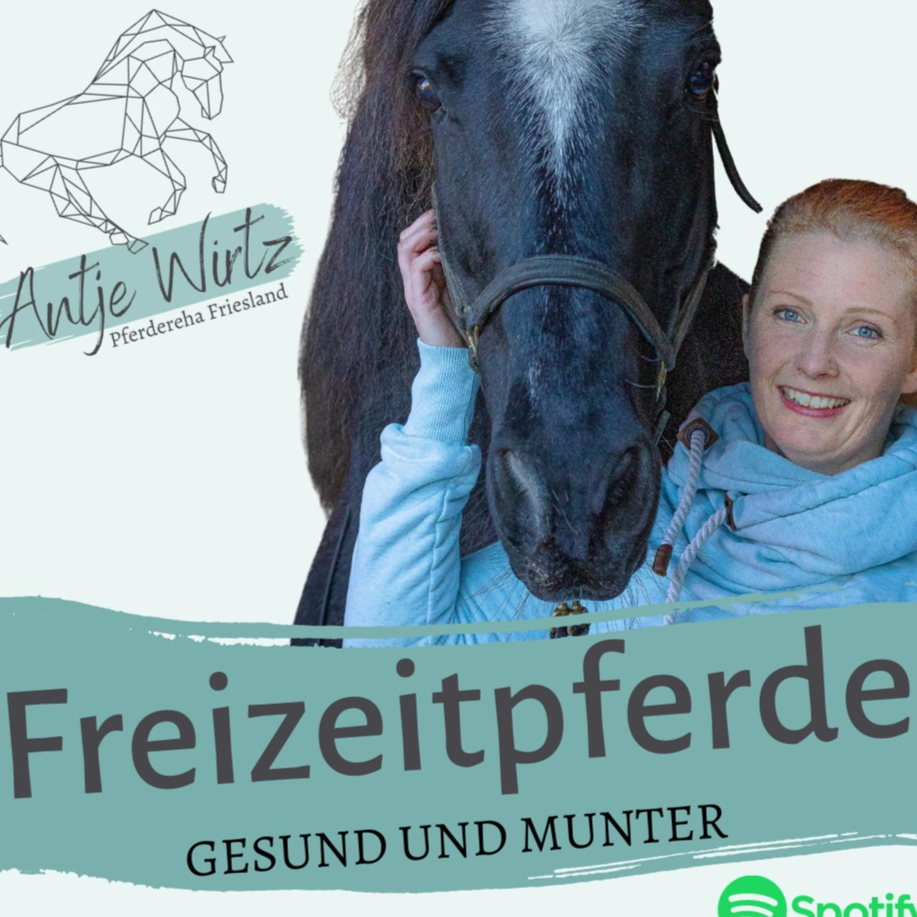 Freizeitpferde - gesund und munter