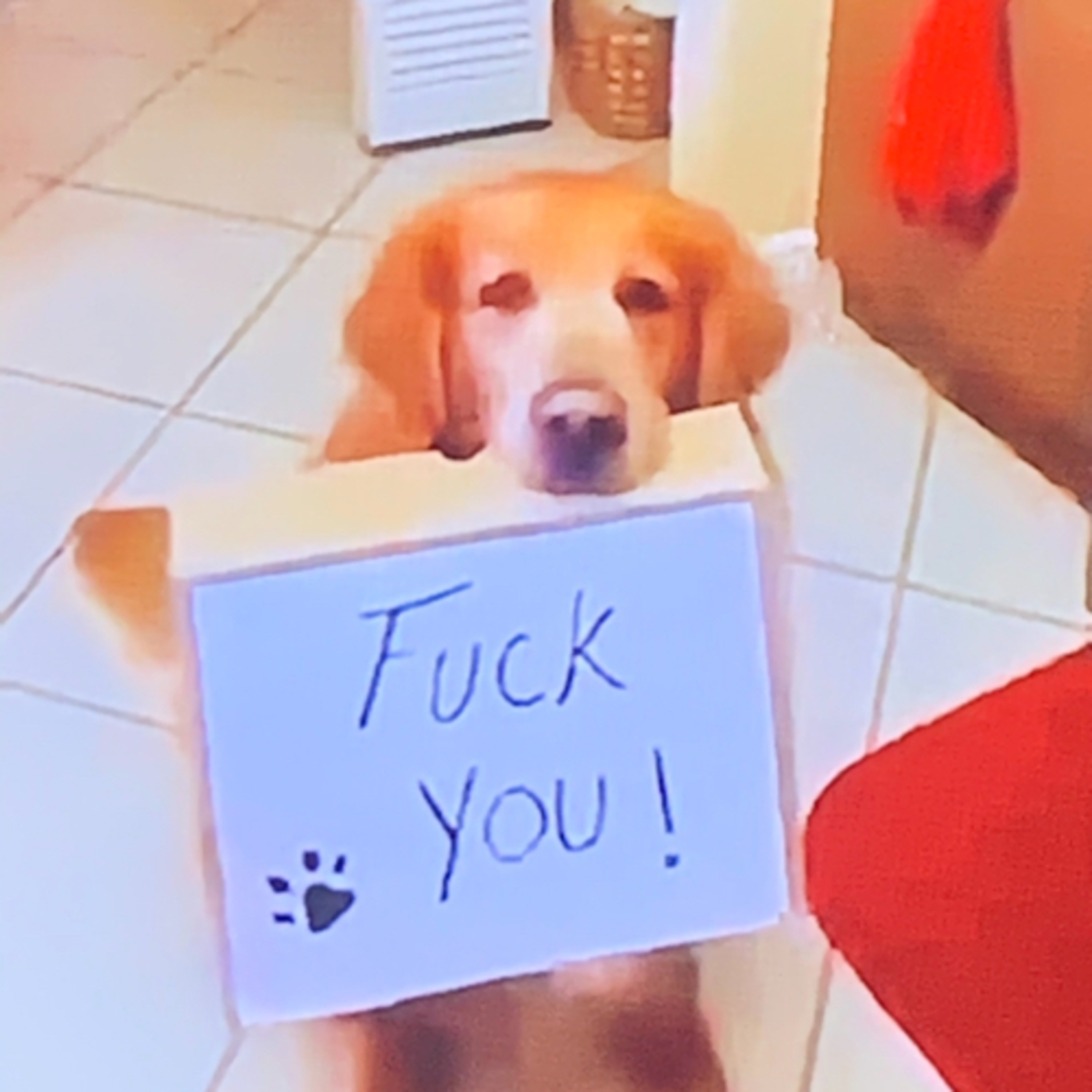 A lil funny business