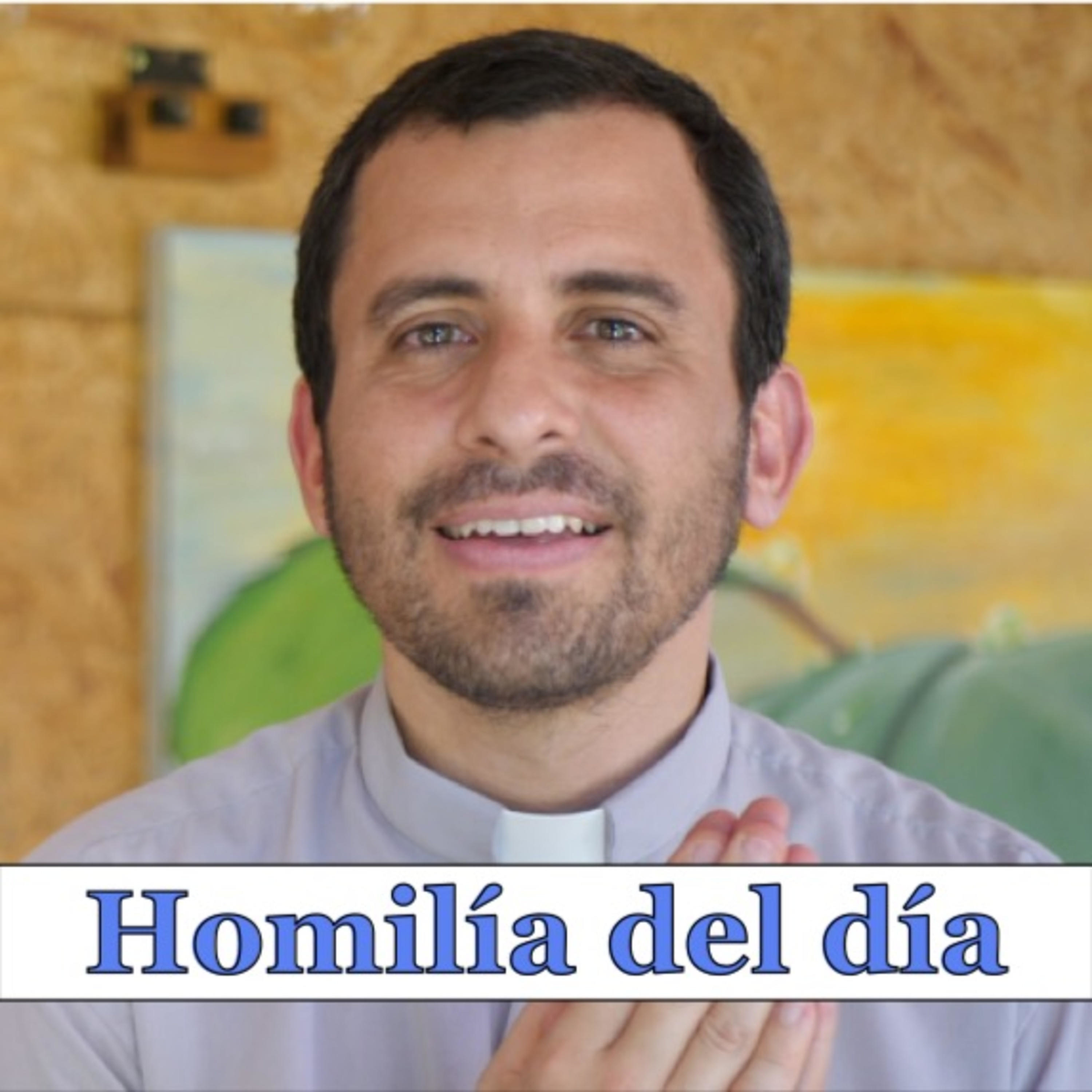 San Bartolomé Apóstol episode artwork