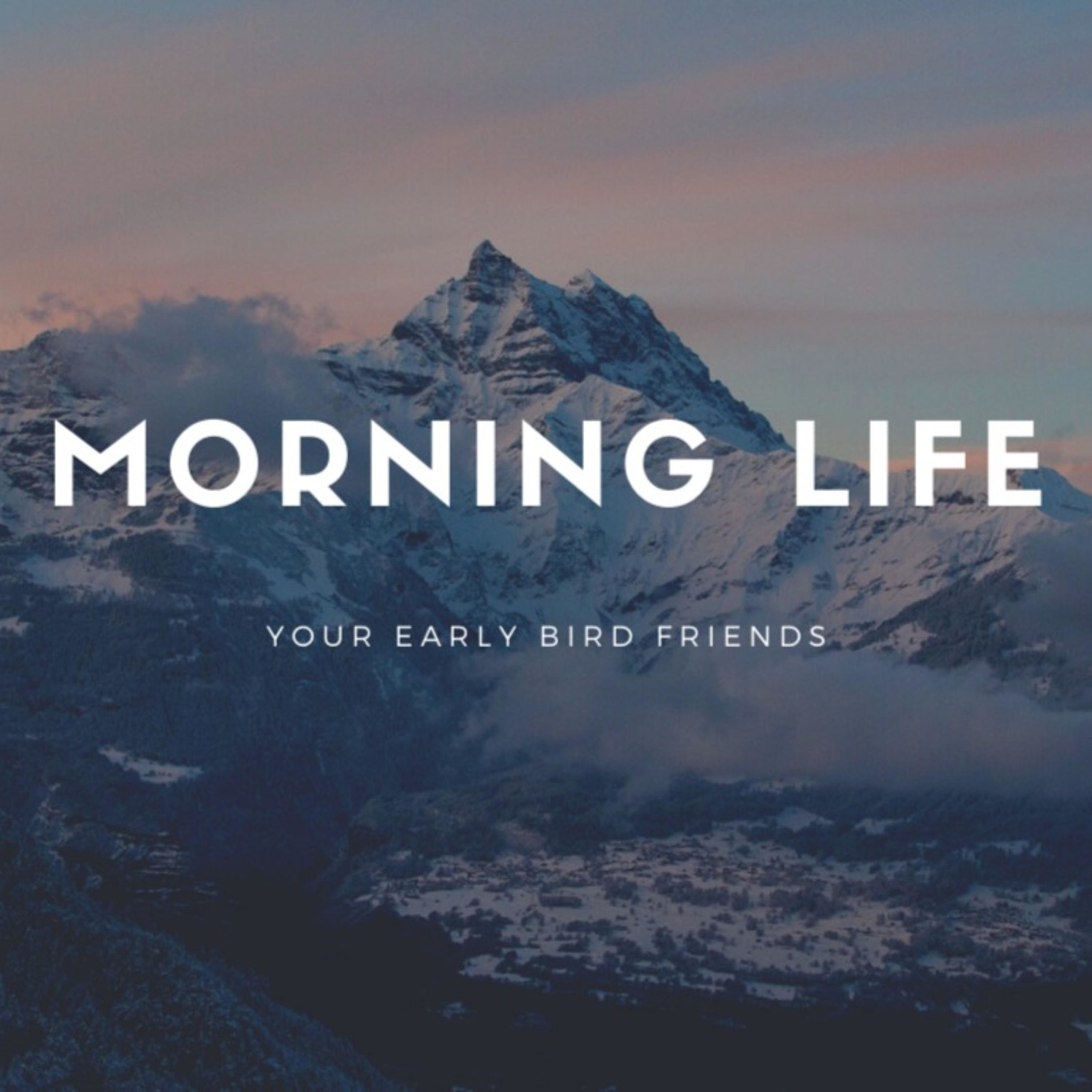 MORNING LIFE
