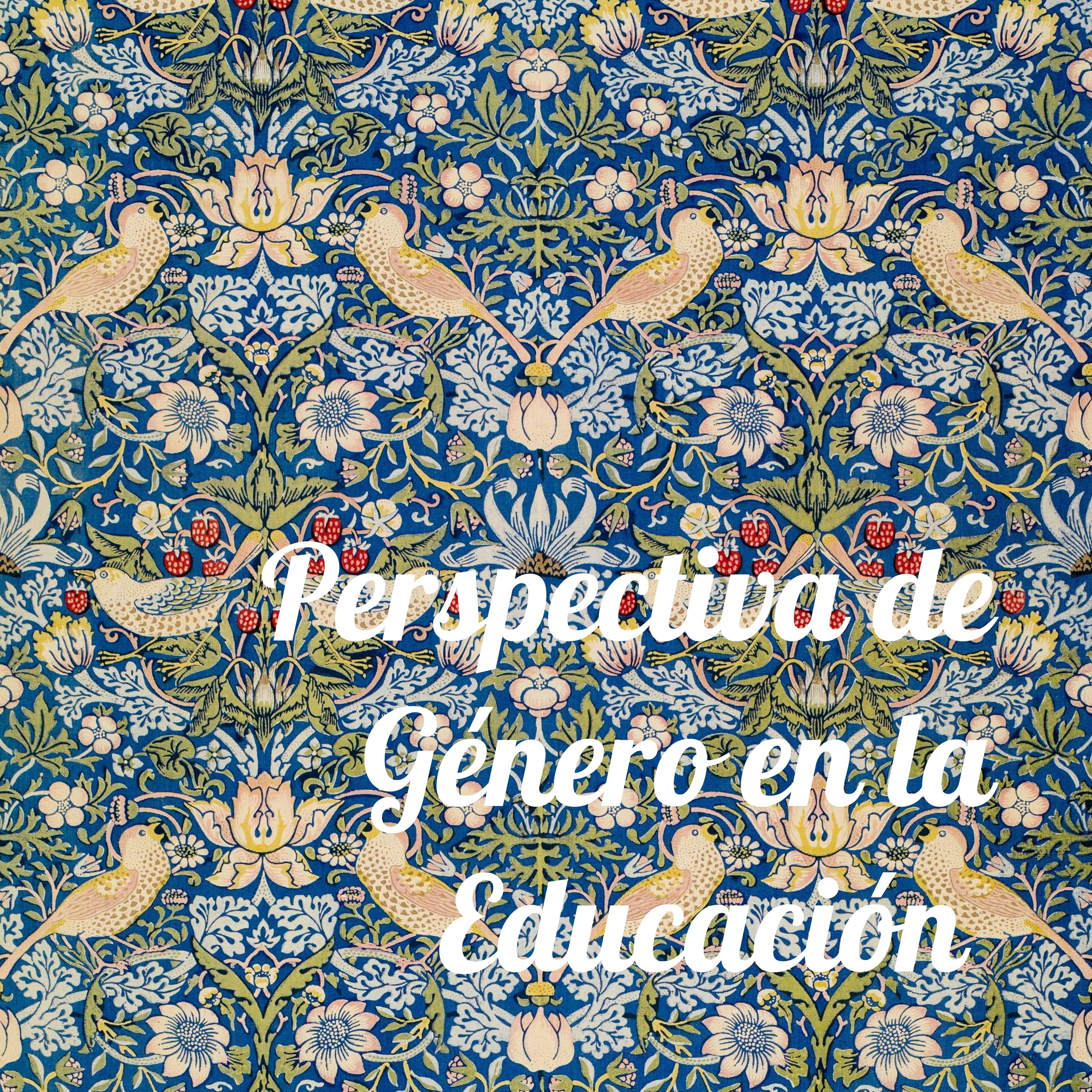 Perspectiva de Género en la Educación