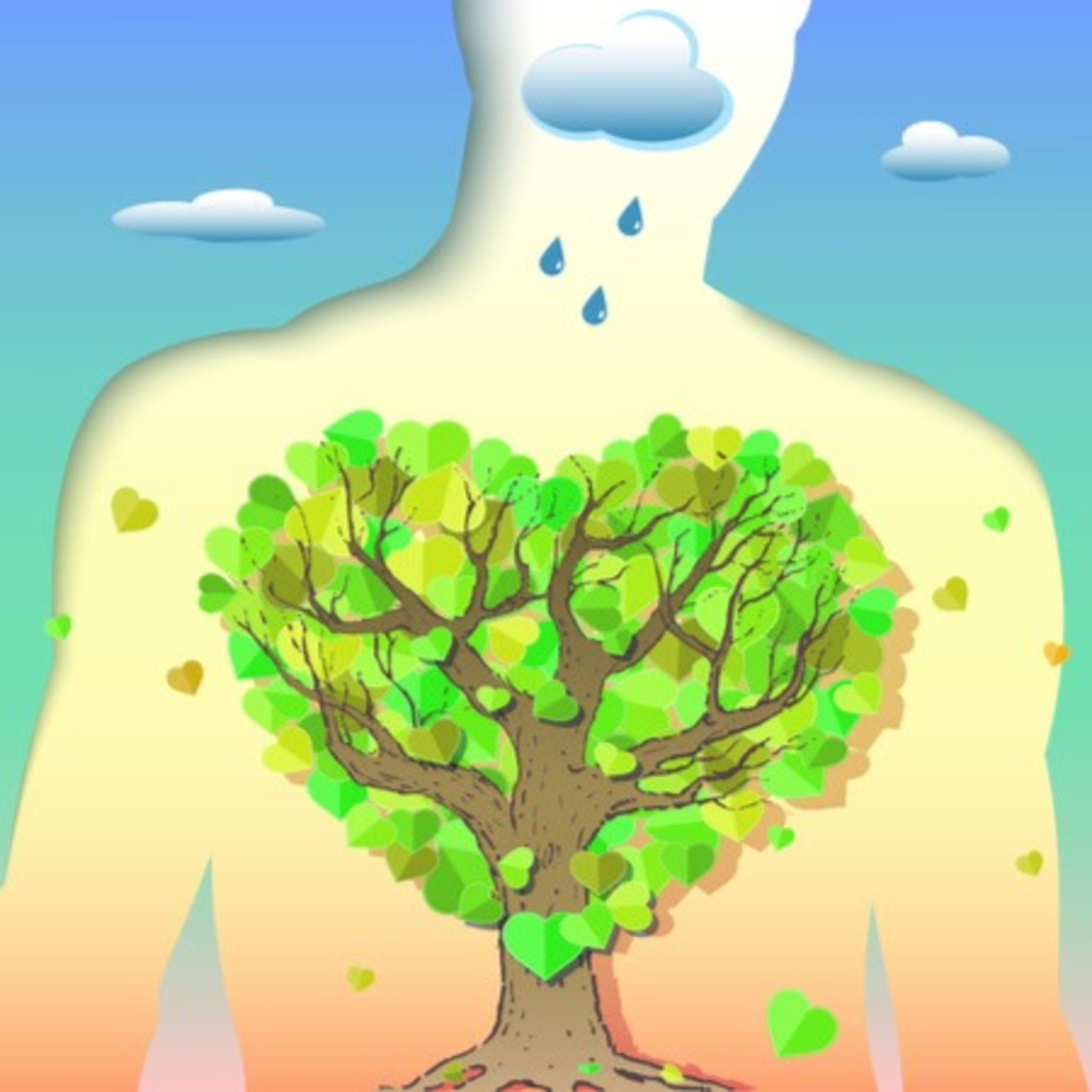 “Programa ambiental” podcast artwork