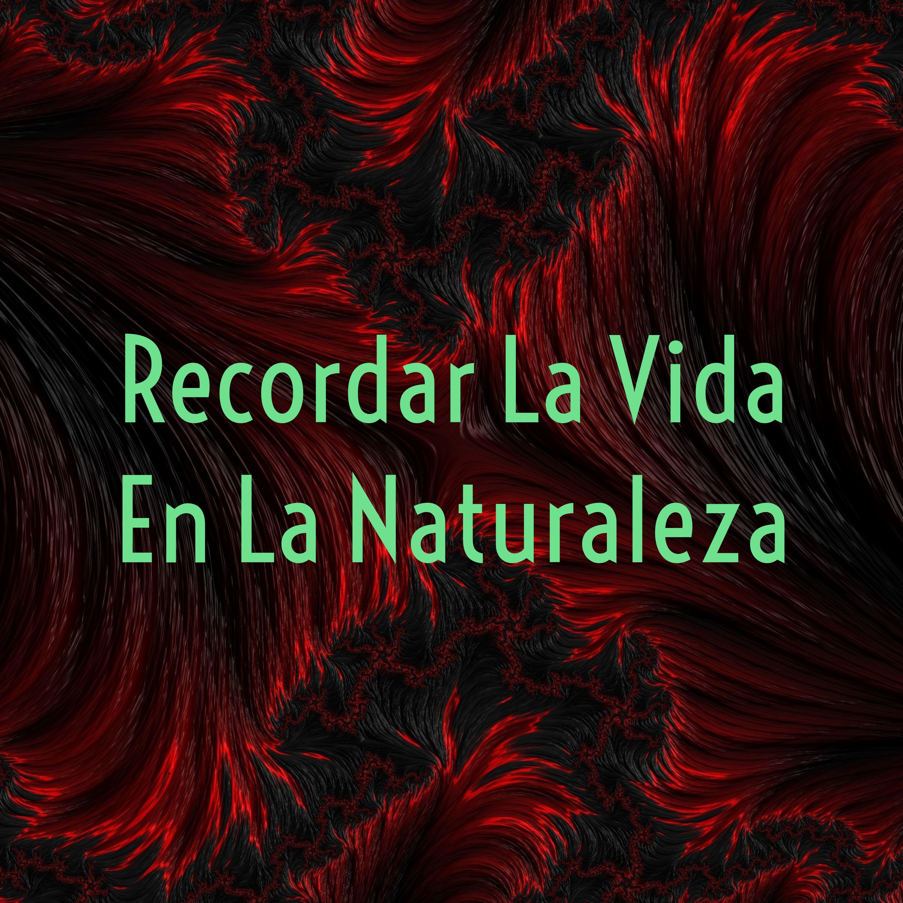 Recordar La Vida En La Naturaleza