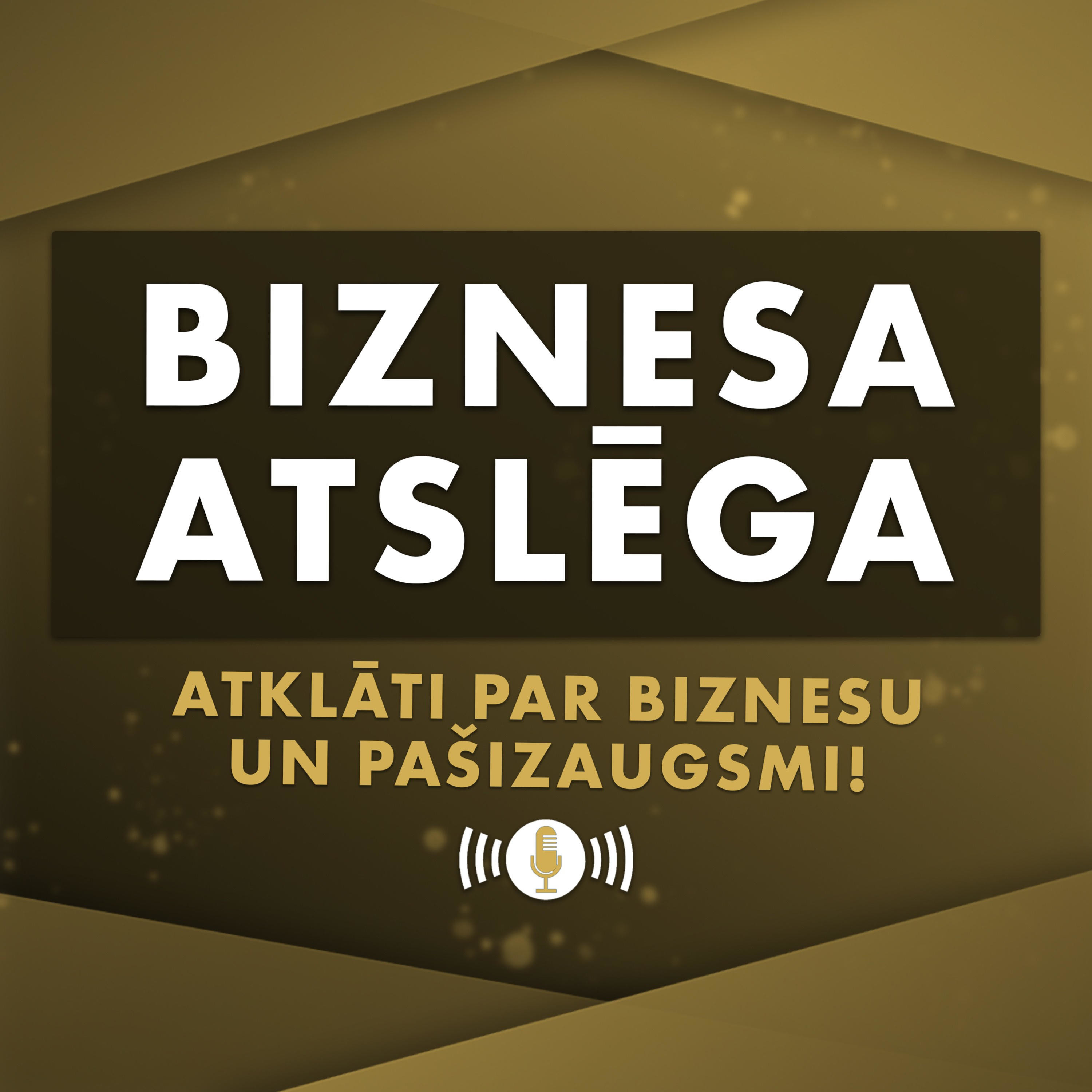 #111 Kas ir pārdošanas lapa un kā tā atšķirās no mājas lapas?